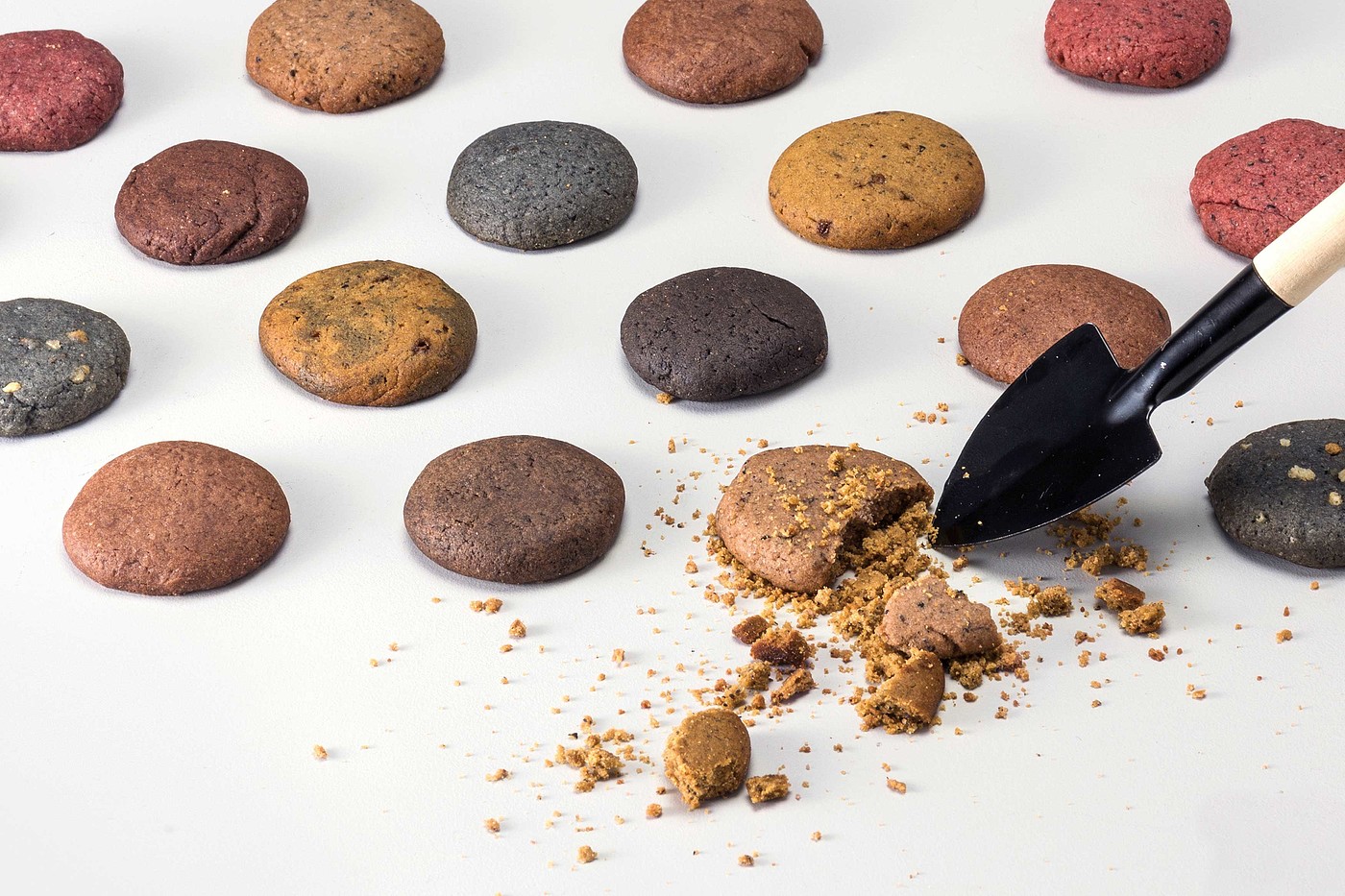 biscuit，packing，2021 red dot design concept award，