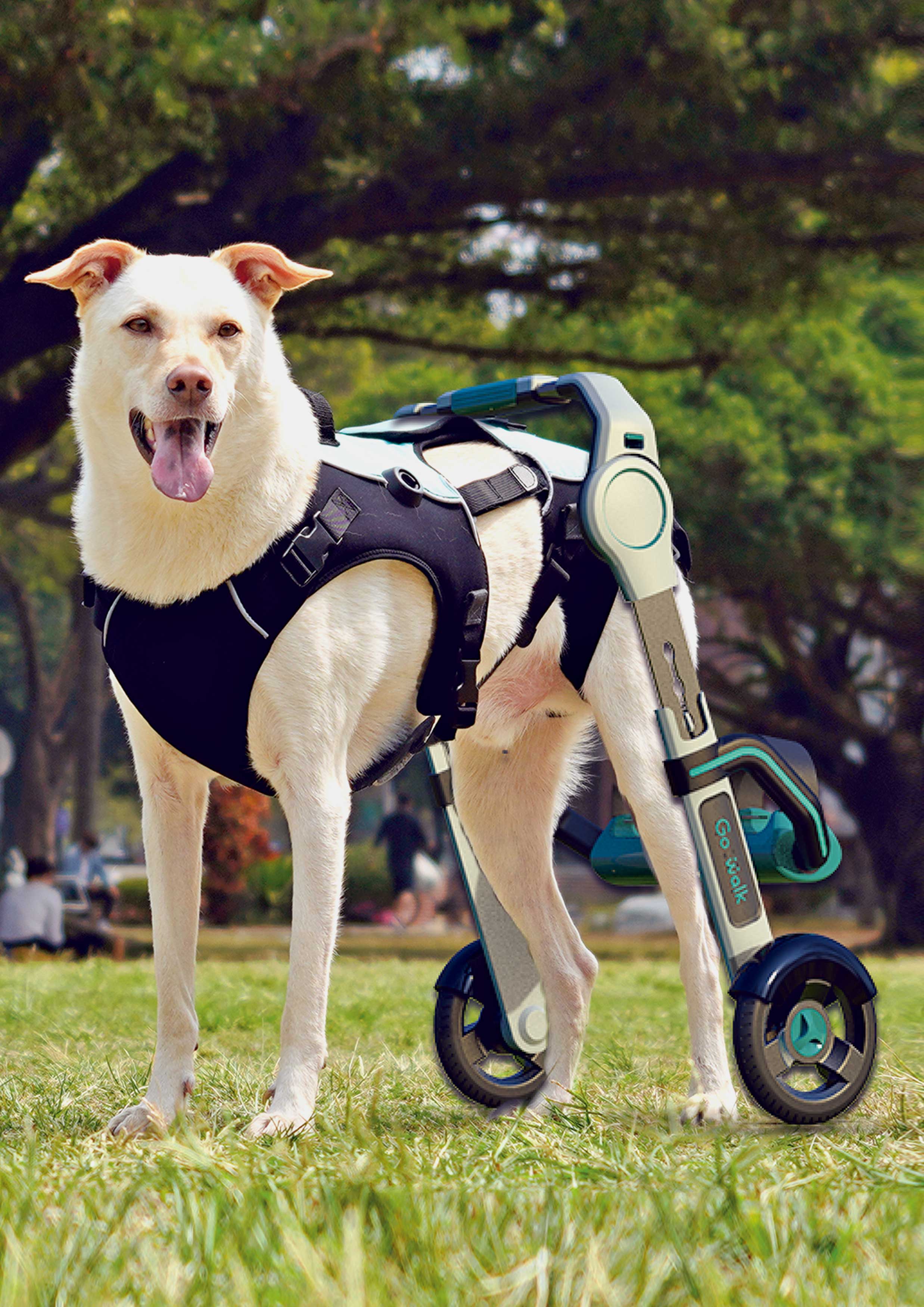 dog，Mobile assistance，modularization，Joint problems，2021 red dot design concept award，