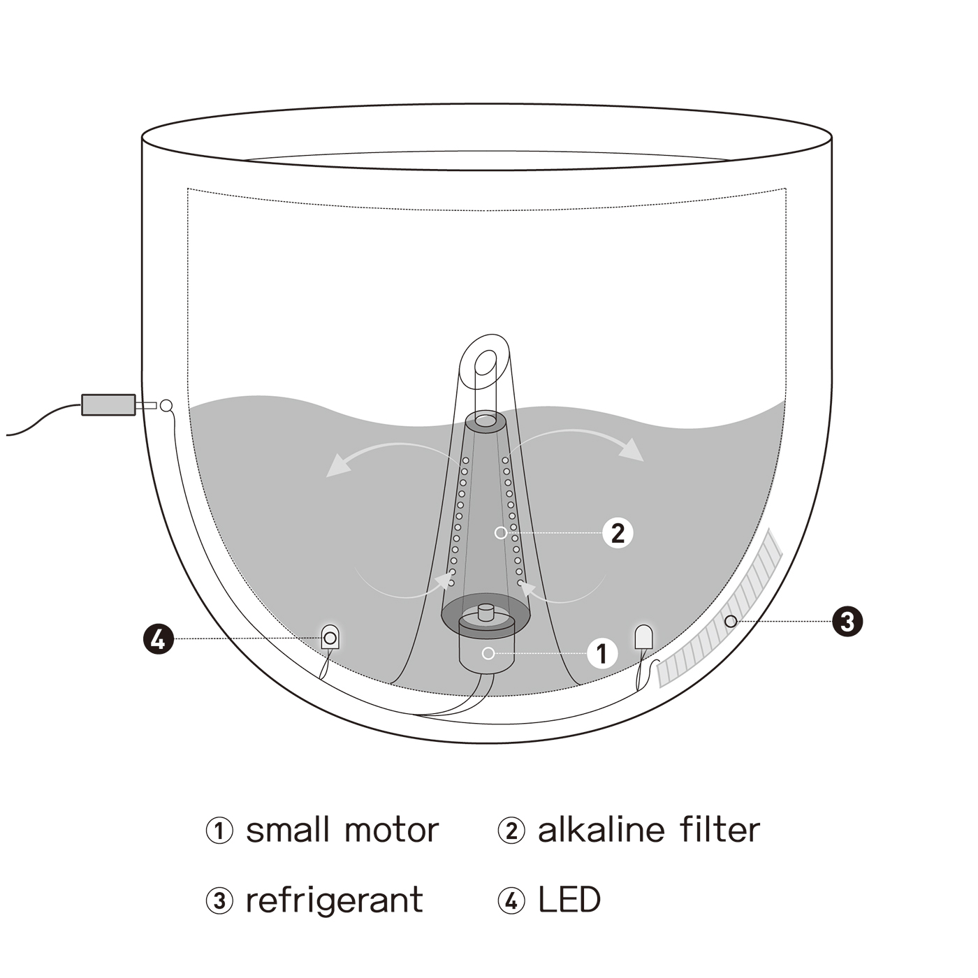 rose，flower，vase，container，protect，