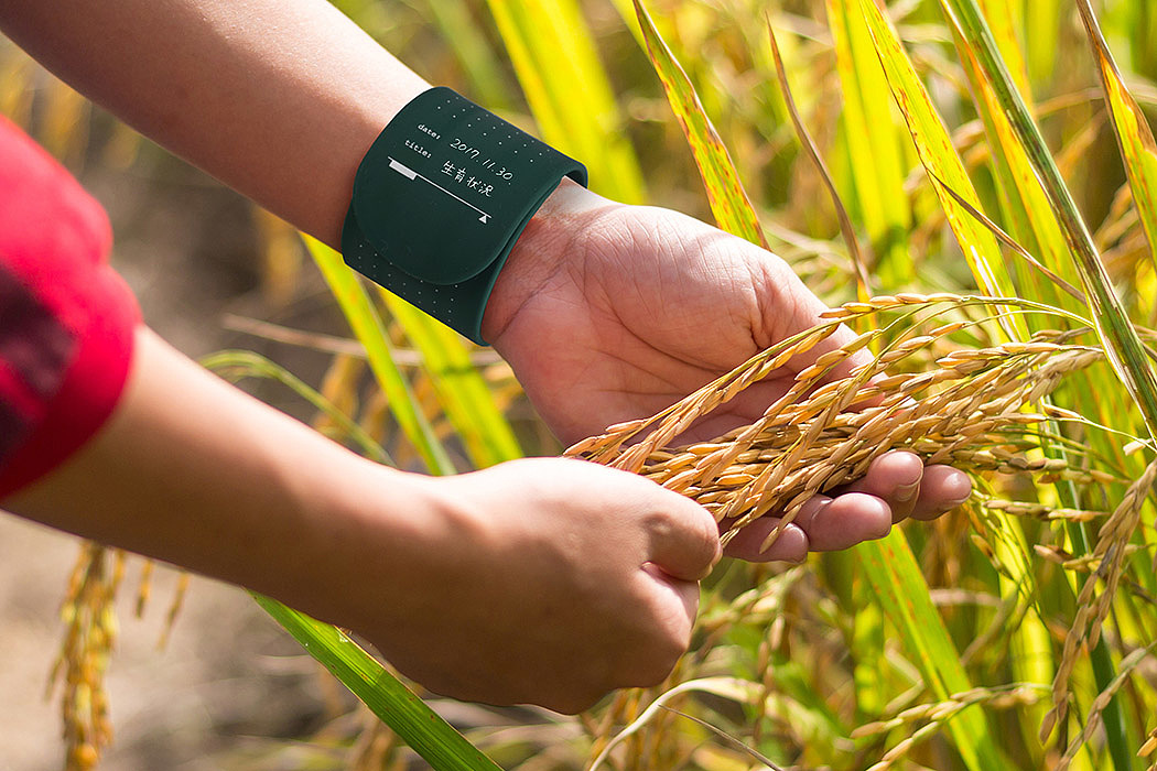 Bracelet，Bracelet，information，Note，tool，