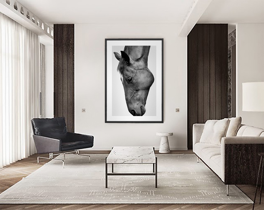 Home Furnishing，furniture，Decorative painting，style of art，modern，