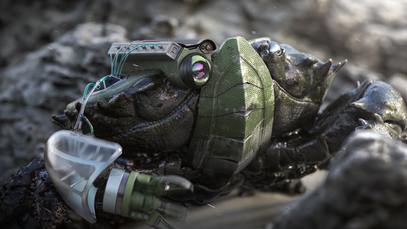 robot，crab，camera，bionics，