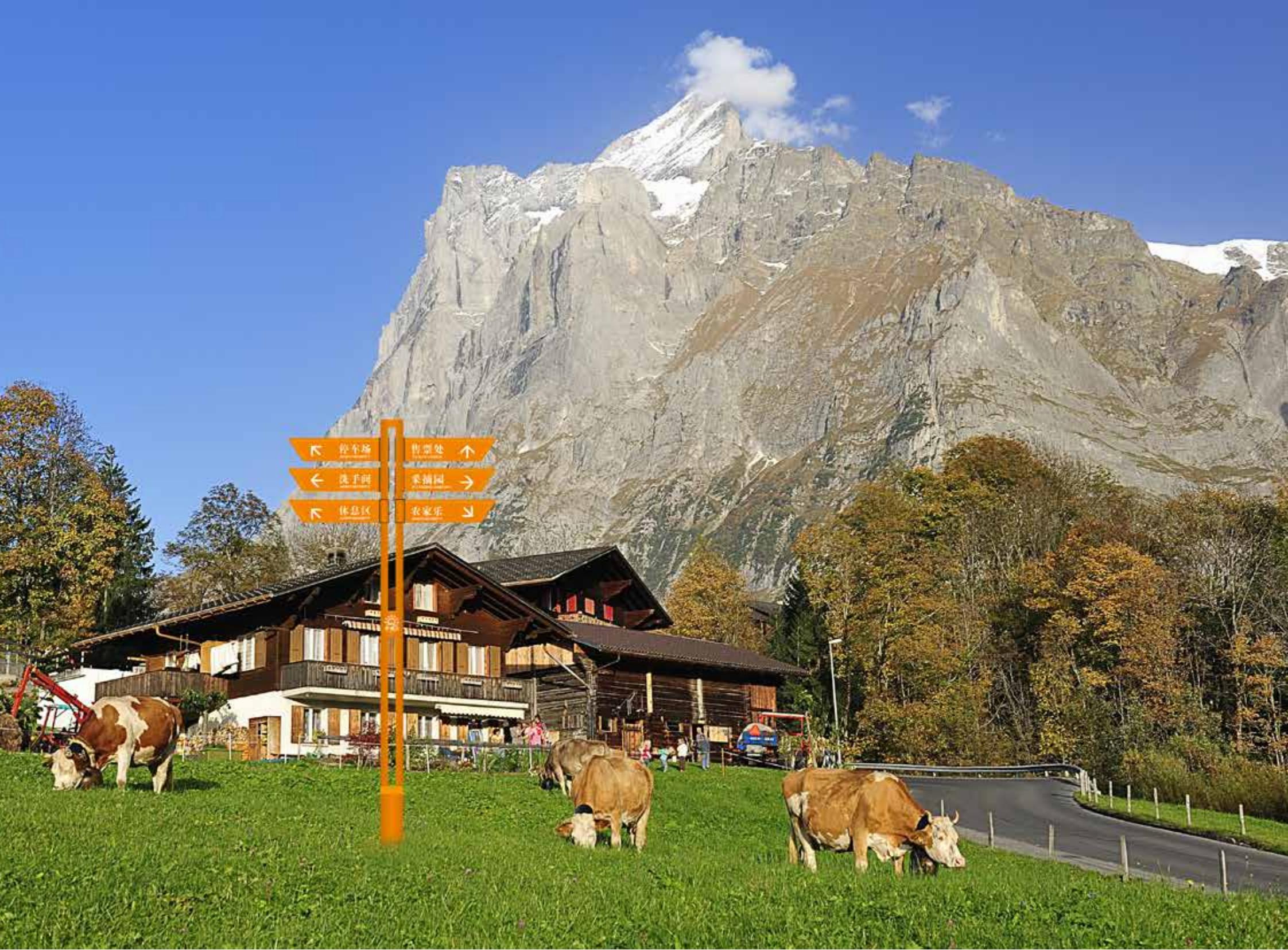 vi，logo，picture album，plan，brand，