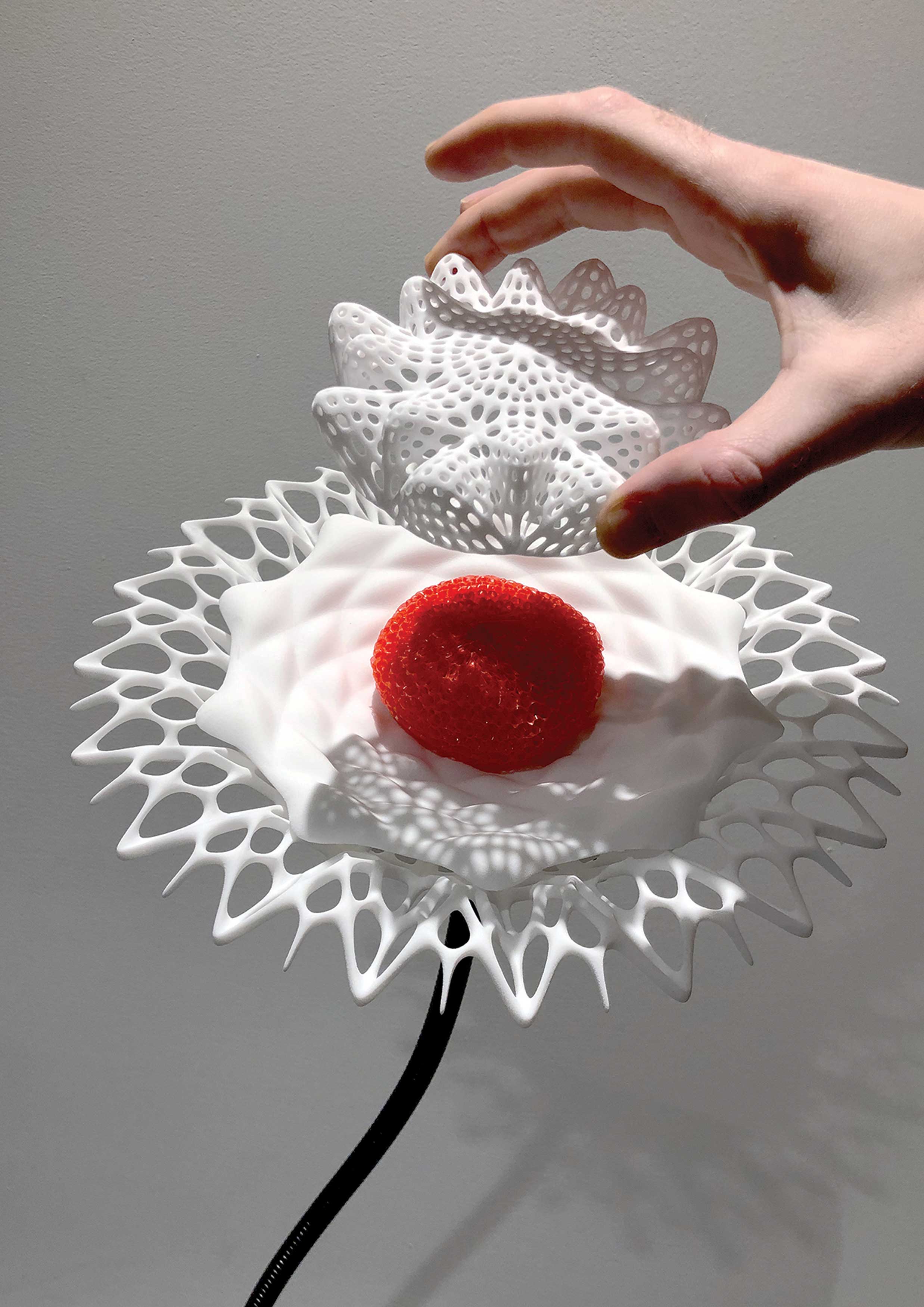 Conservatory Feeder，Butterfly feeder，Butterfly sanctuary feeder, American Museum of natural history，2021 red dot design concept award，