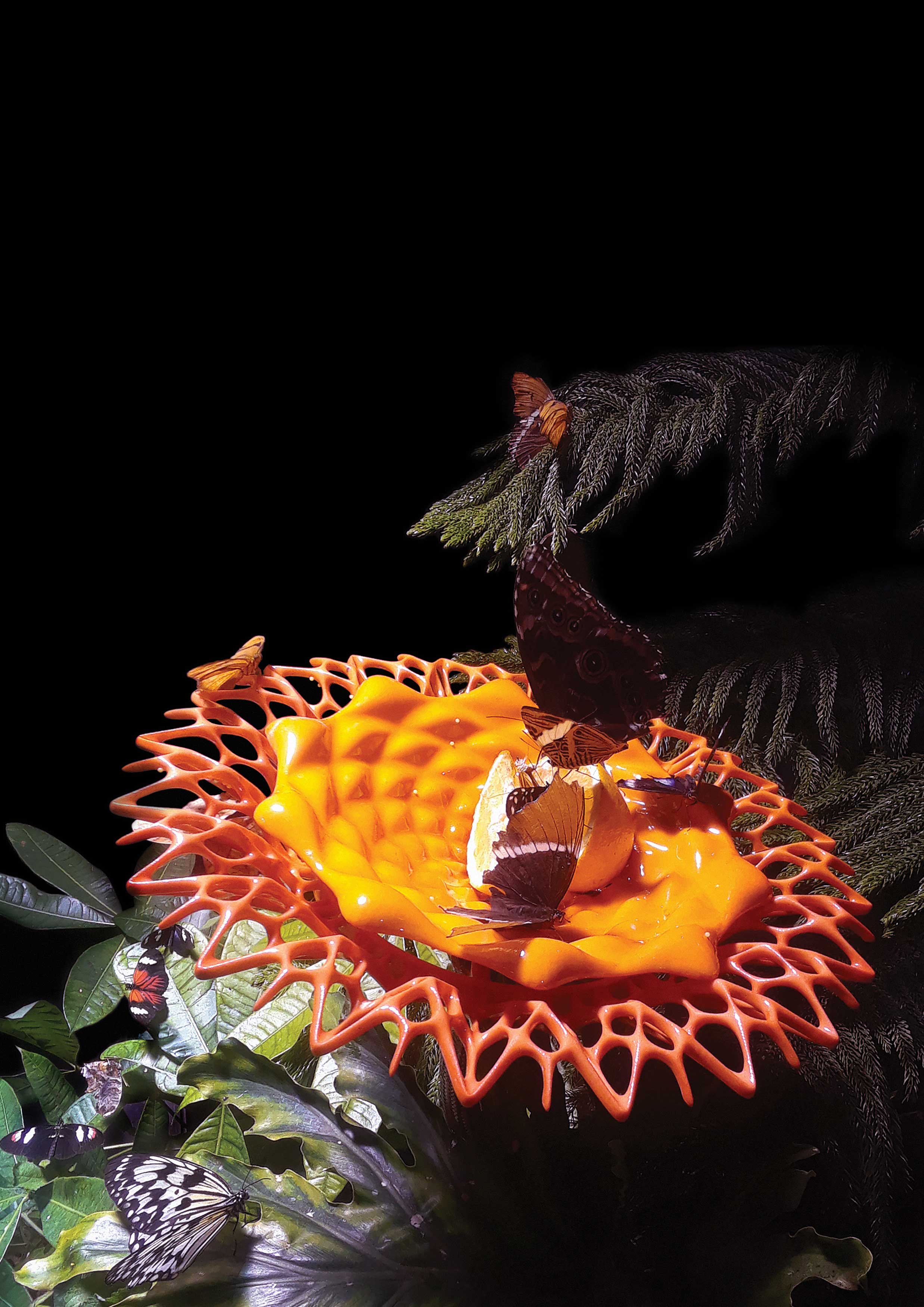 Conservatory Feeder，Butterfly feeder，Butterfly sanctuary feeder, American Museum of natural history，2021 red dot design concept award，