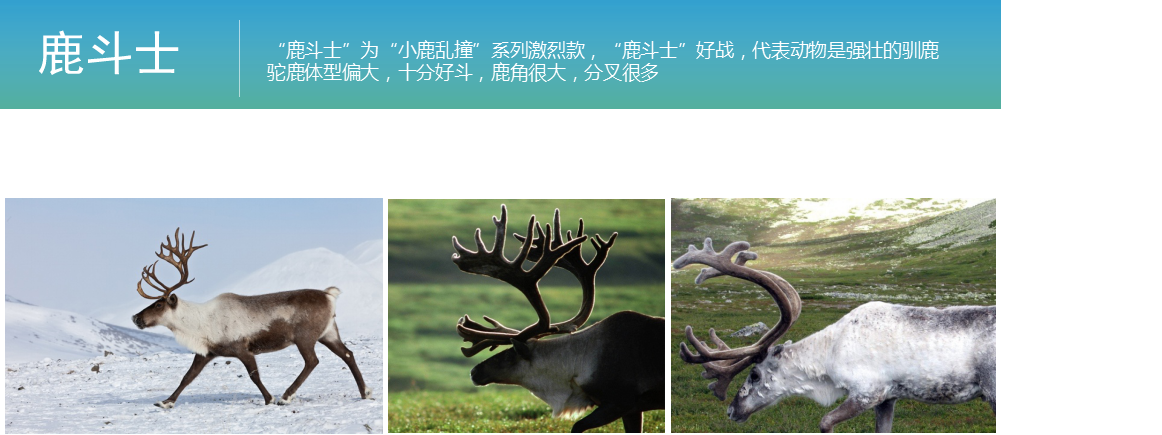 taste，lovely，Golden dot award，Red Star Award，