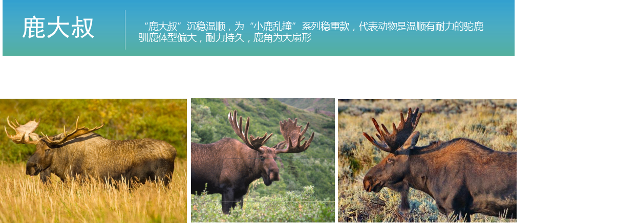 taste，lovely，Golden dot award，Red Star Award，