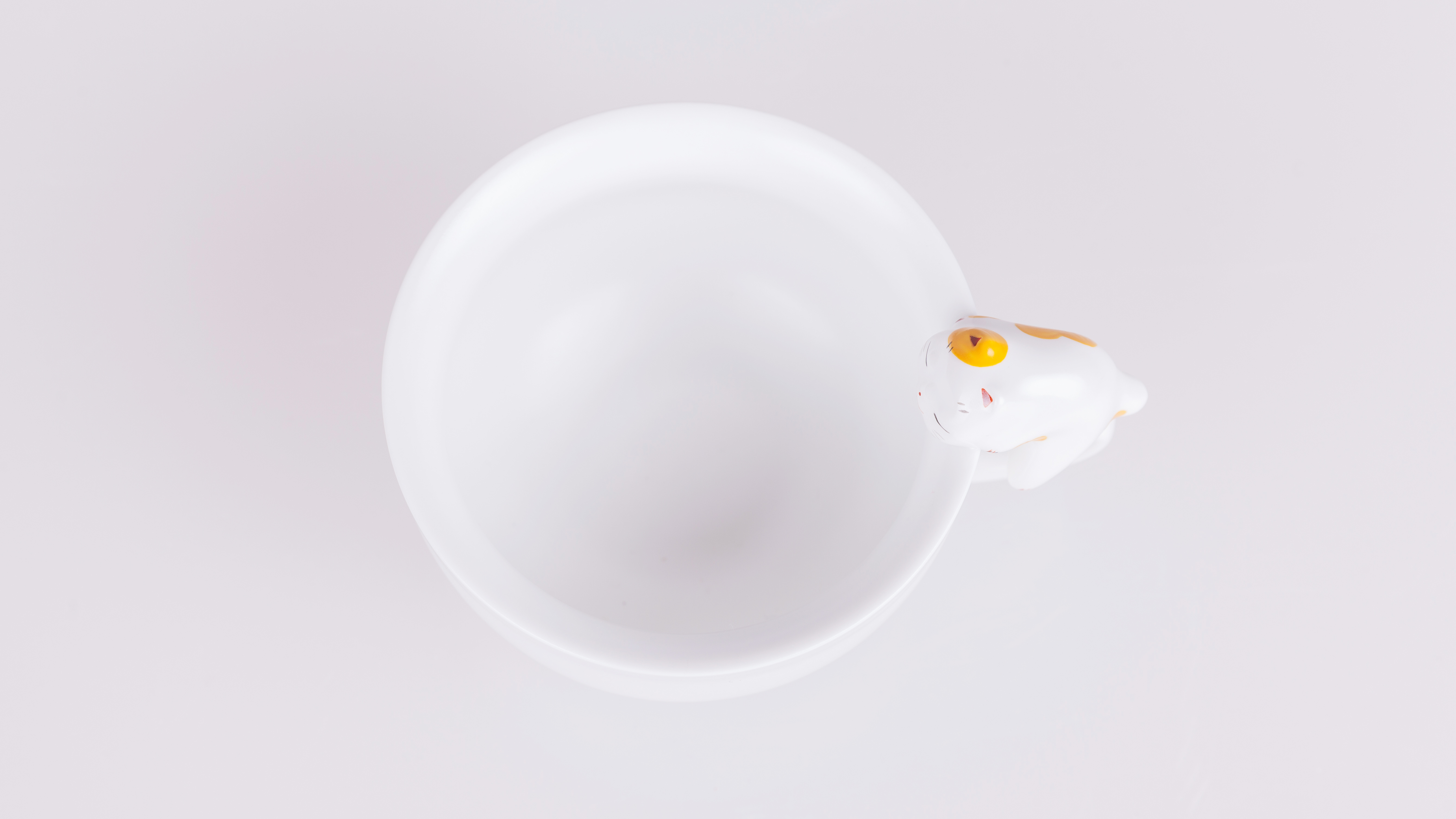 winter，house，adorable，cat，glass，