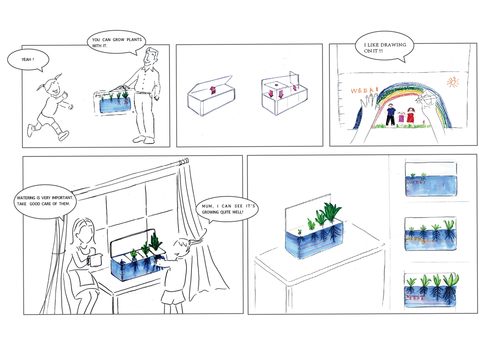 children，Botany，