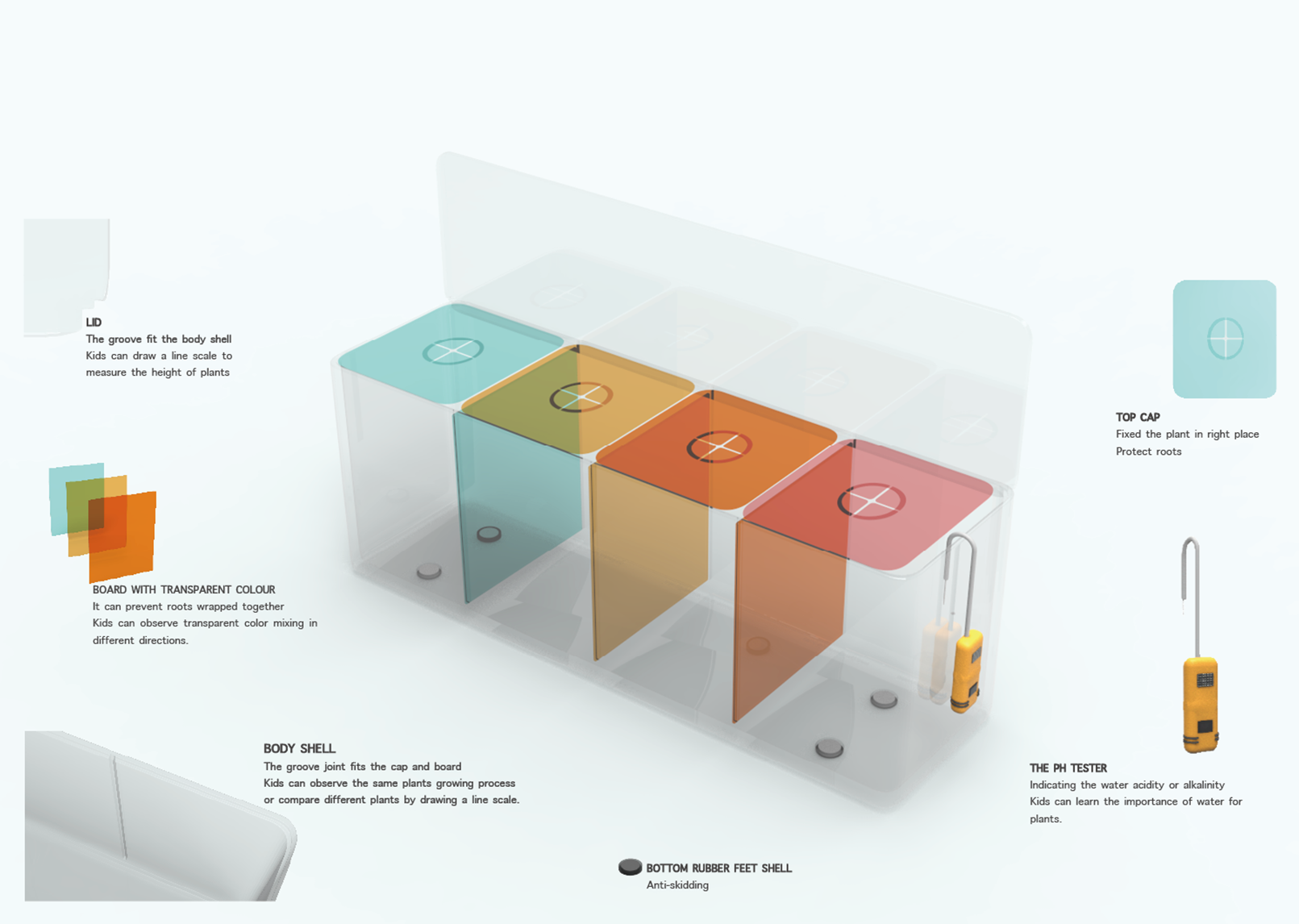 children，Botany，