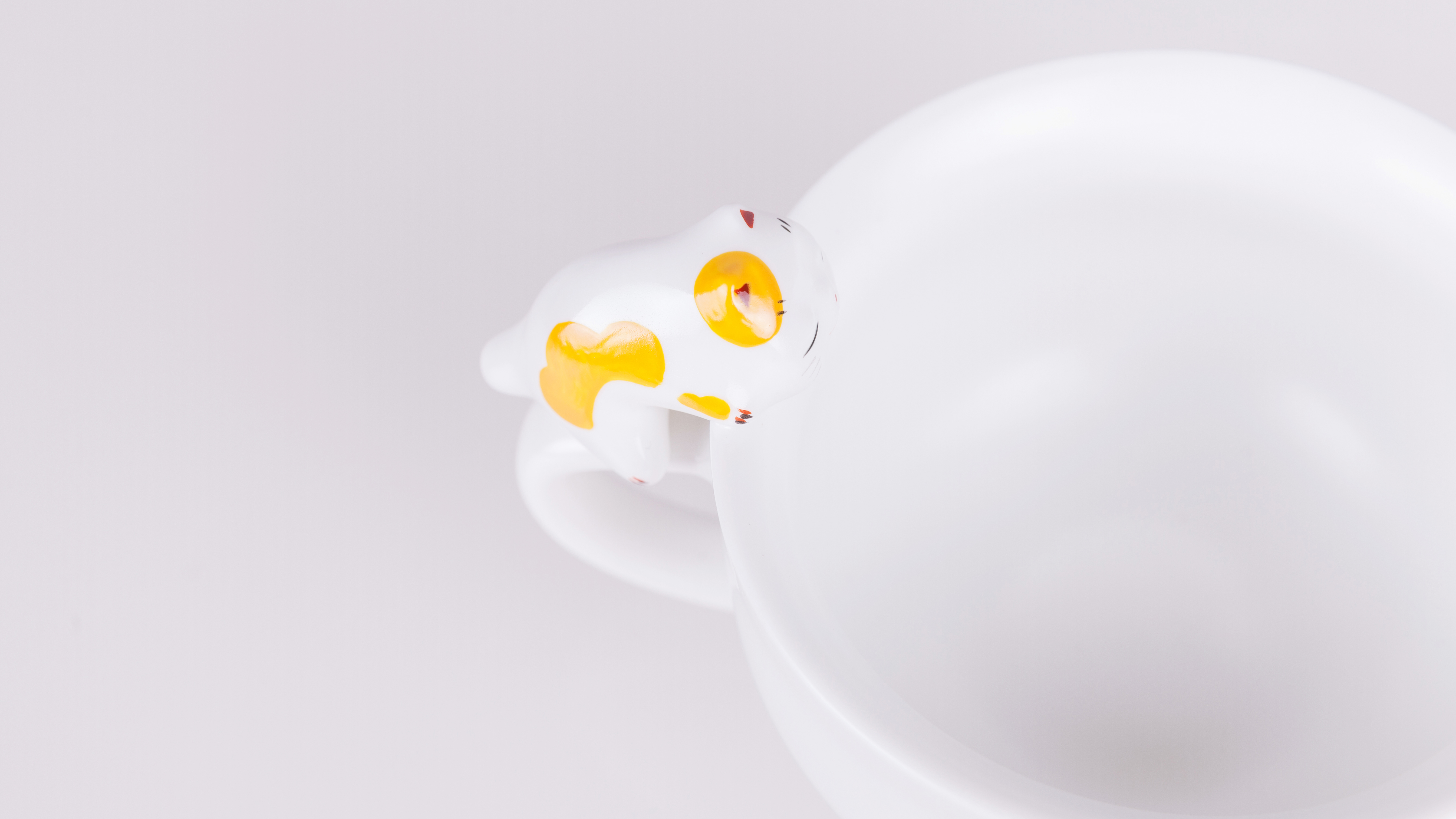 winter，house，adorable，cat，glass，