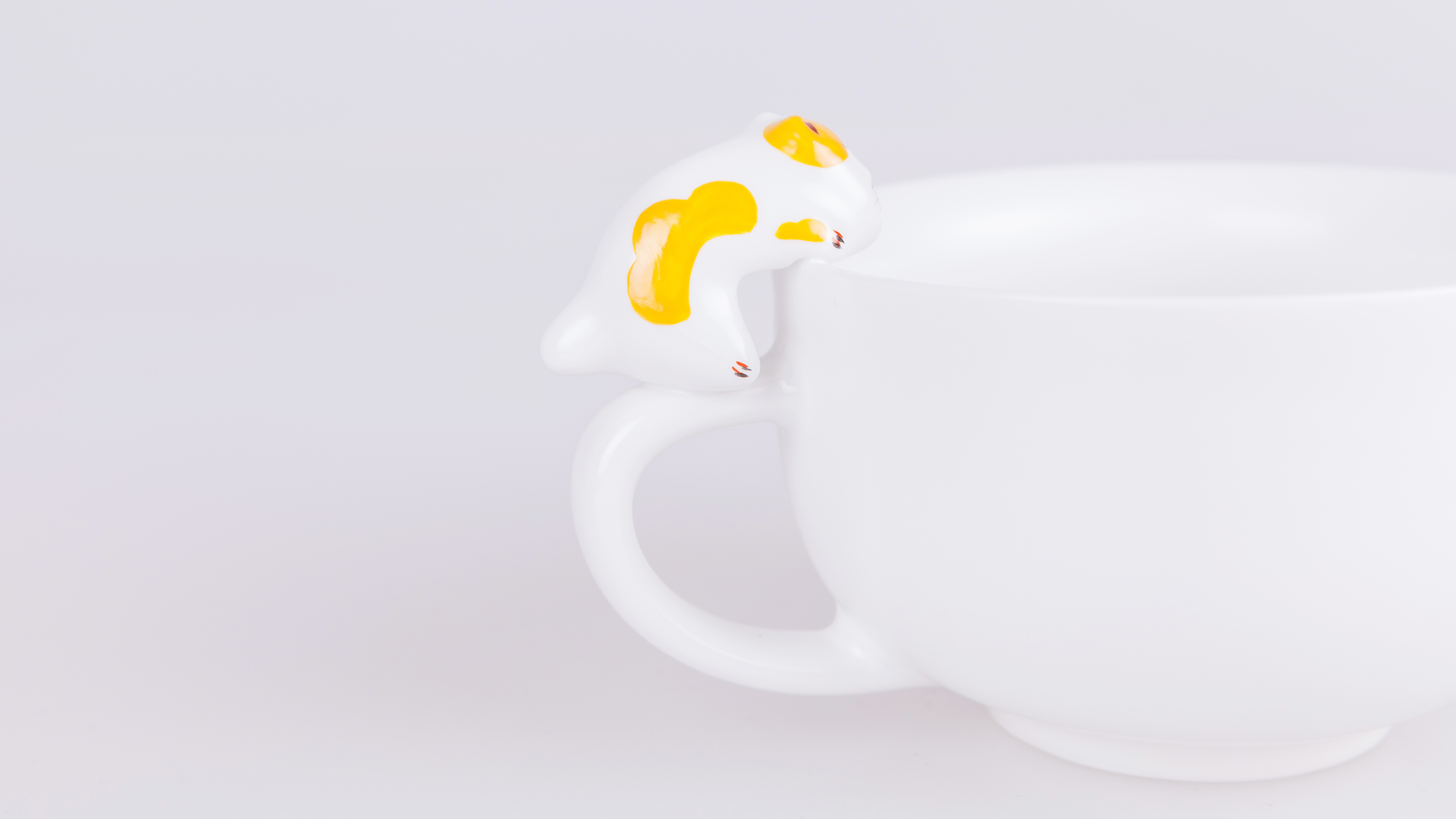 winter，house，adorable，cat，glass，