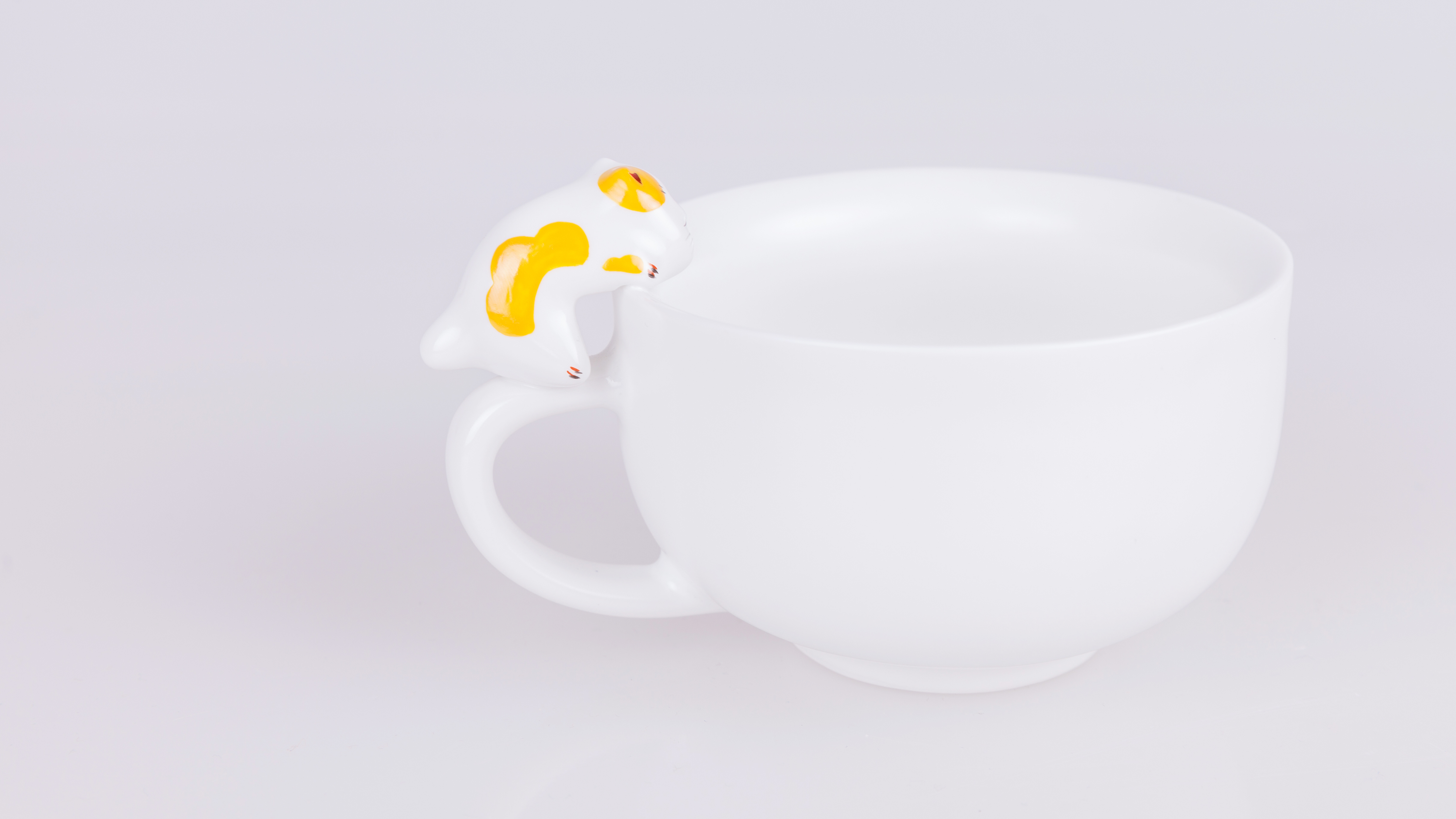 winter，house，adorable，cat，glass，