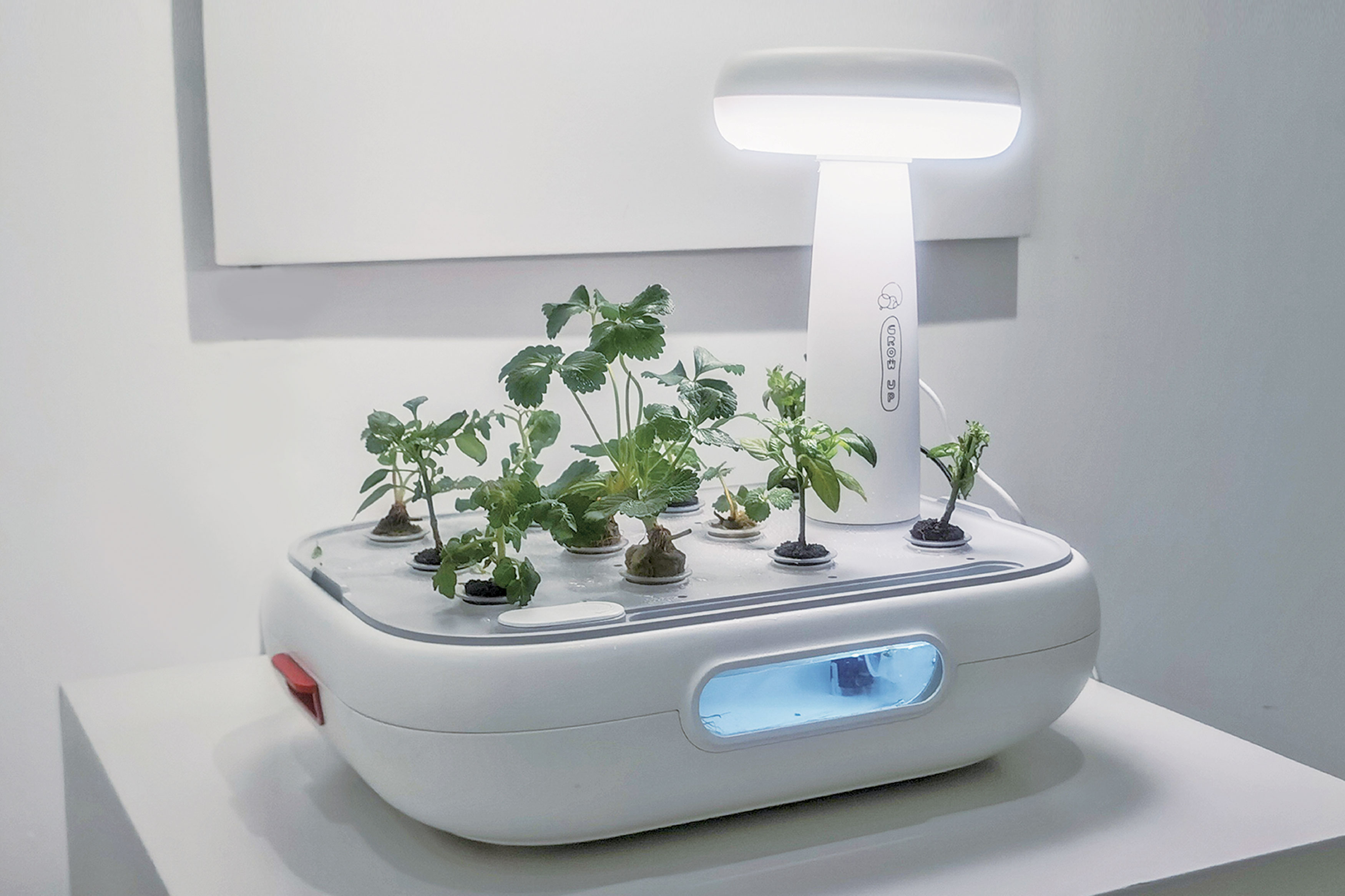 Grow Up，Home gardening equipment，Gardening tools，2021 red dot design concept award，