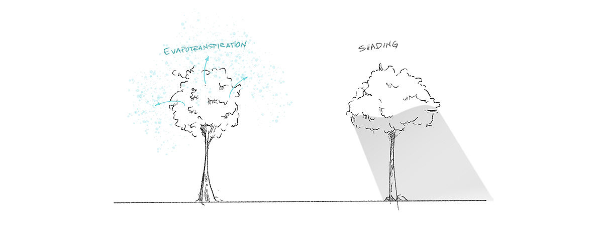 cloud，environmental design，Microclimate，Suspension device，Urban cooling，