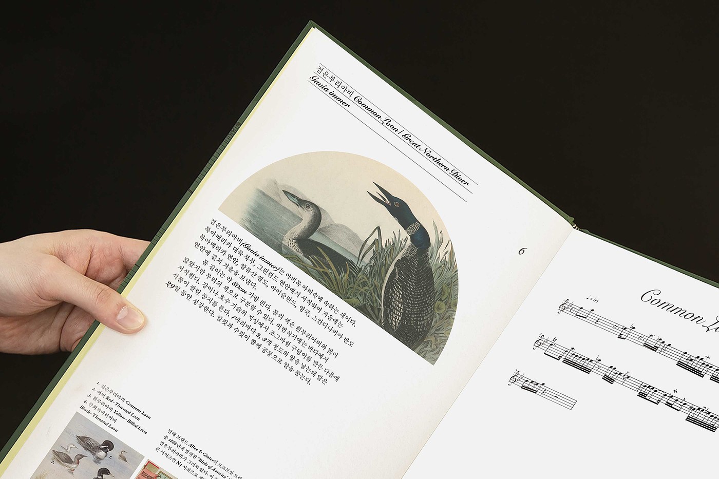 Music book，Song of Bird，music，2021 red dot design concept award，