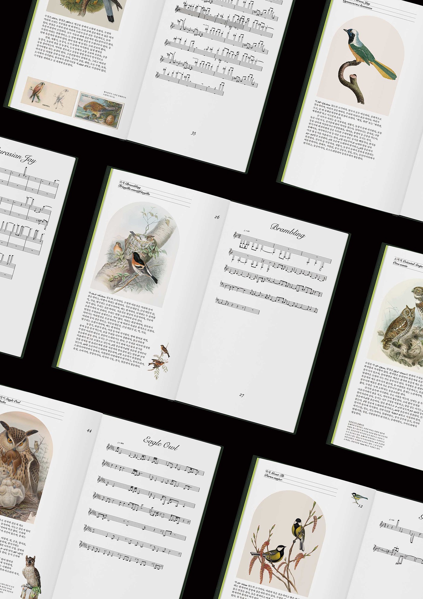 Music book，Song of Bird，music，2021 red dot design concept award，