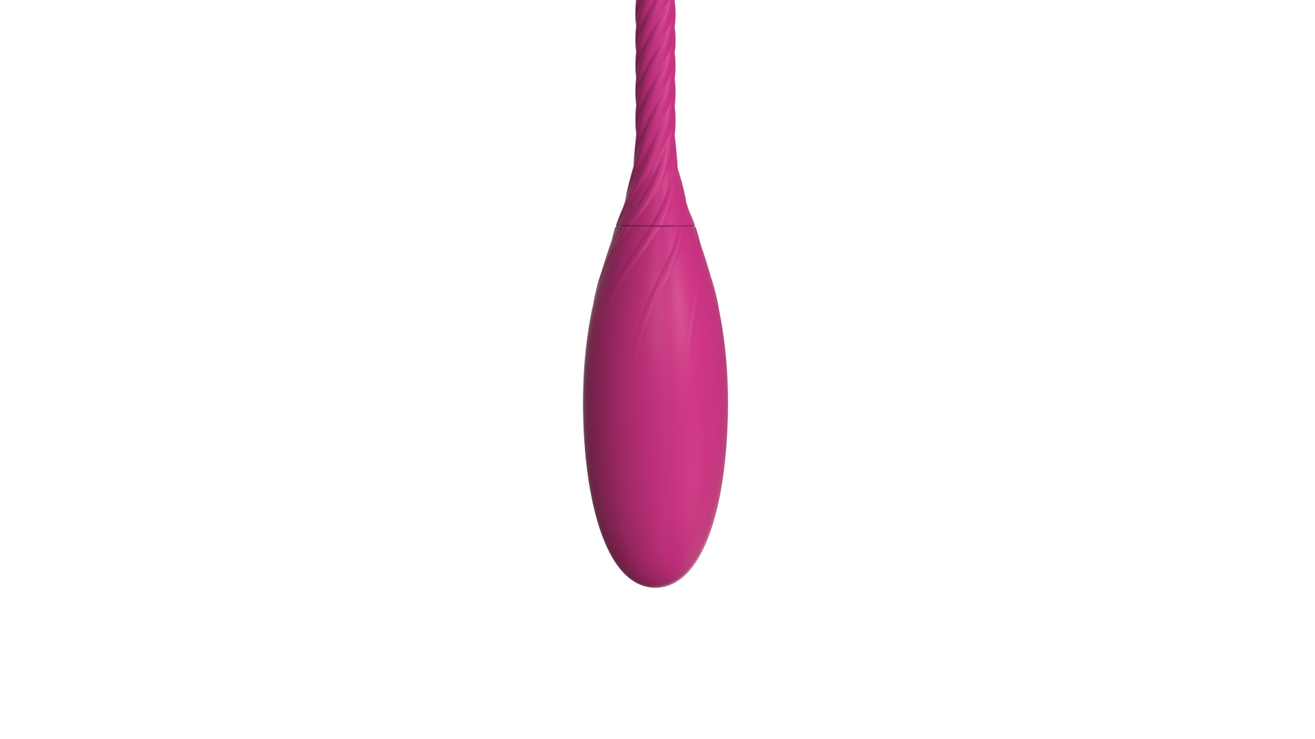 Animal world - squid，