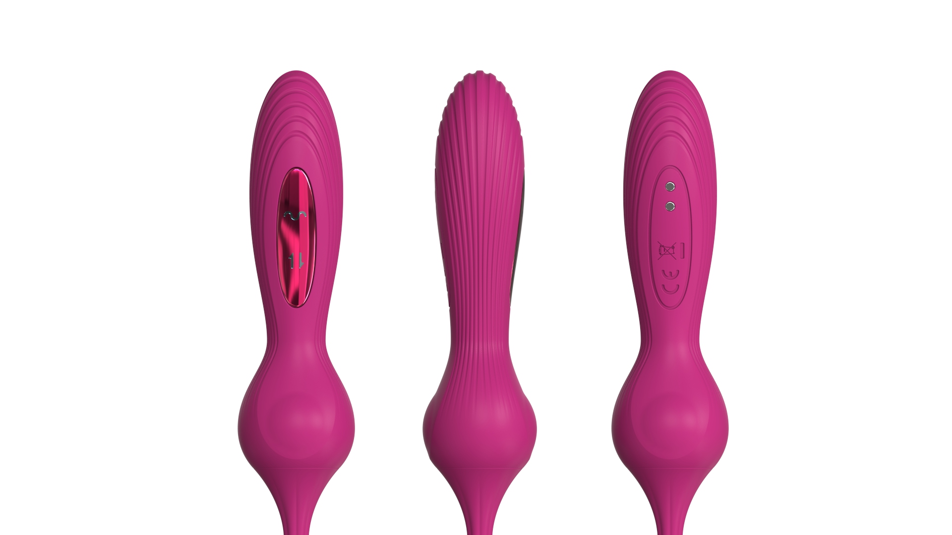 Animal world - squid，