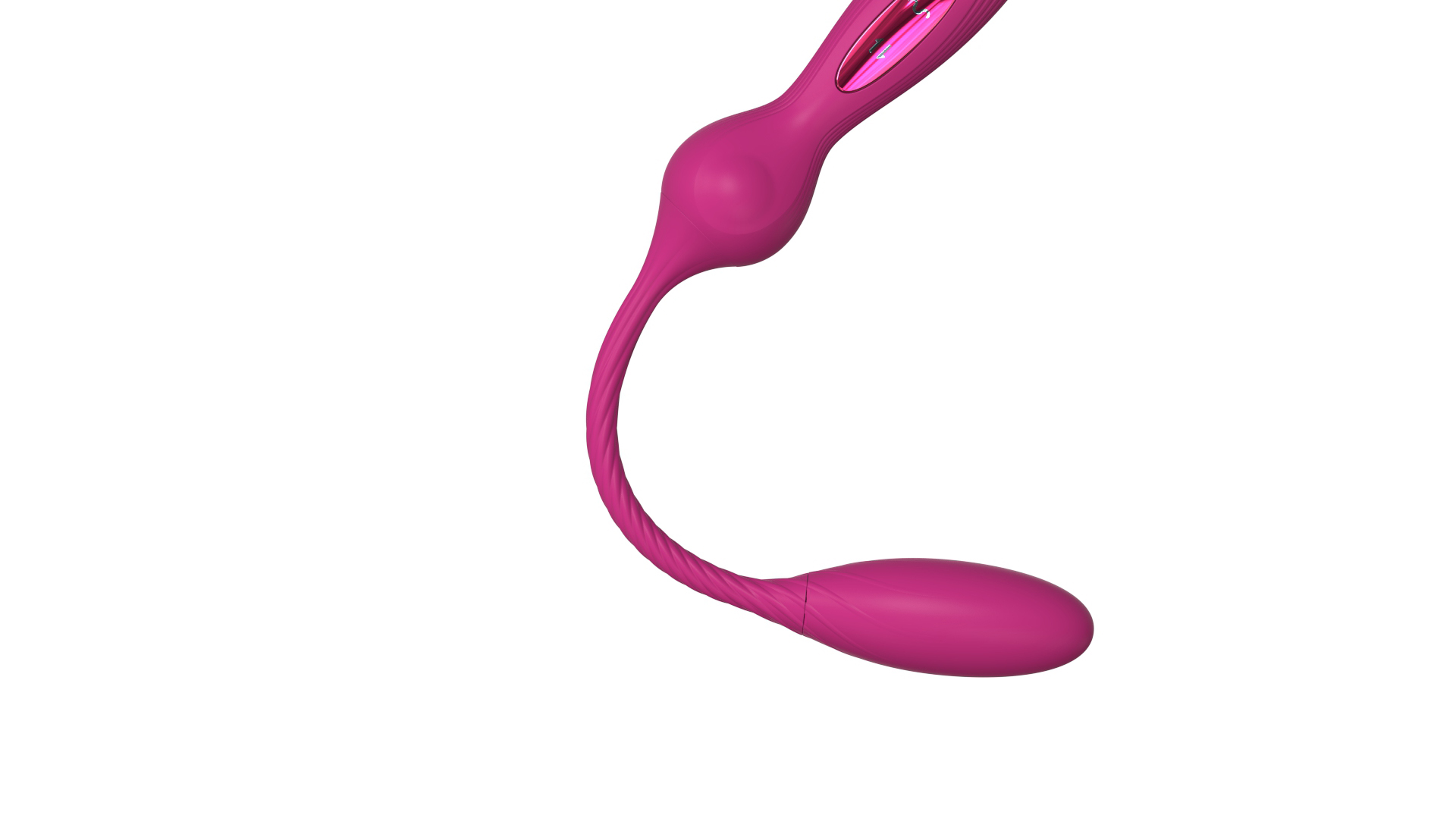 Animal world - squid，