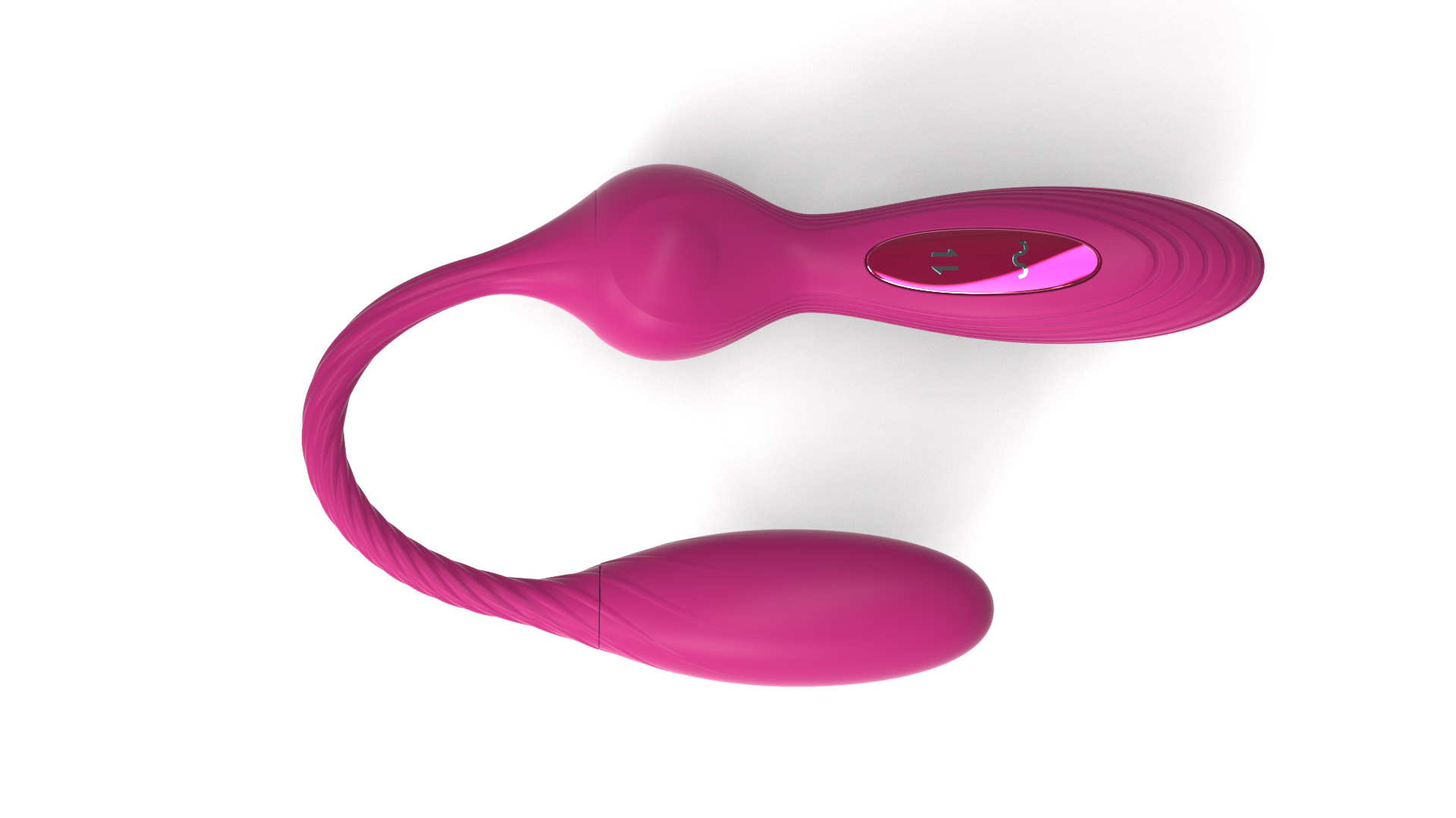 Animal world - squid，