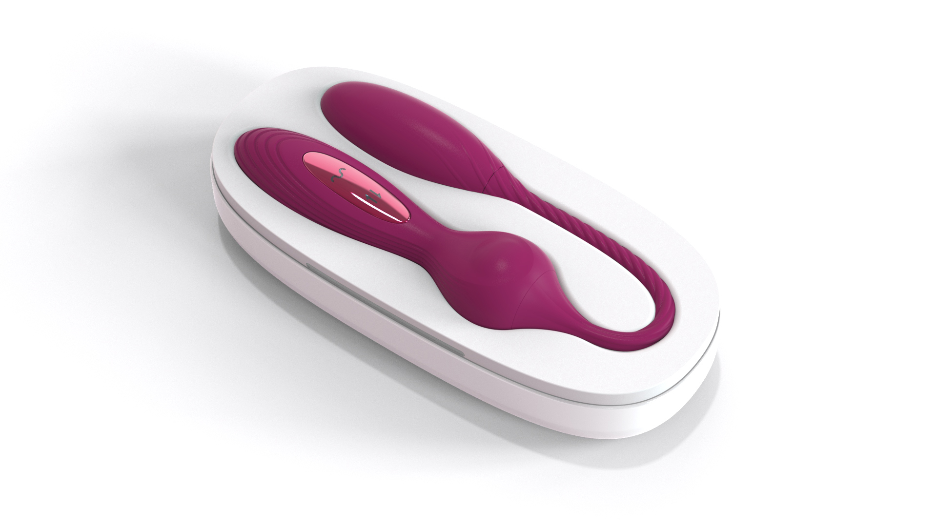 Animal world - squid，