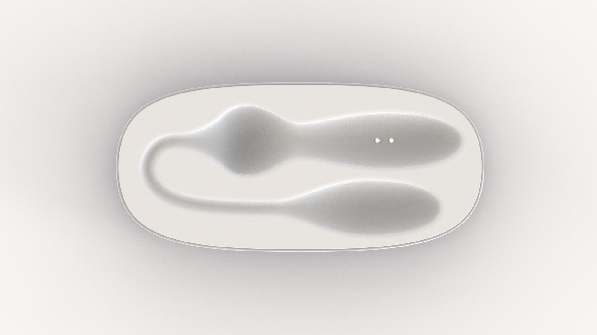 Animal world - squid，