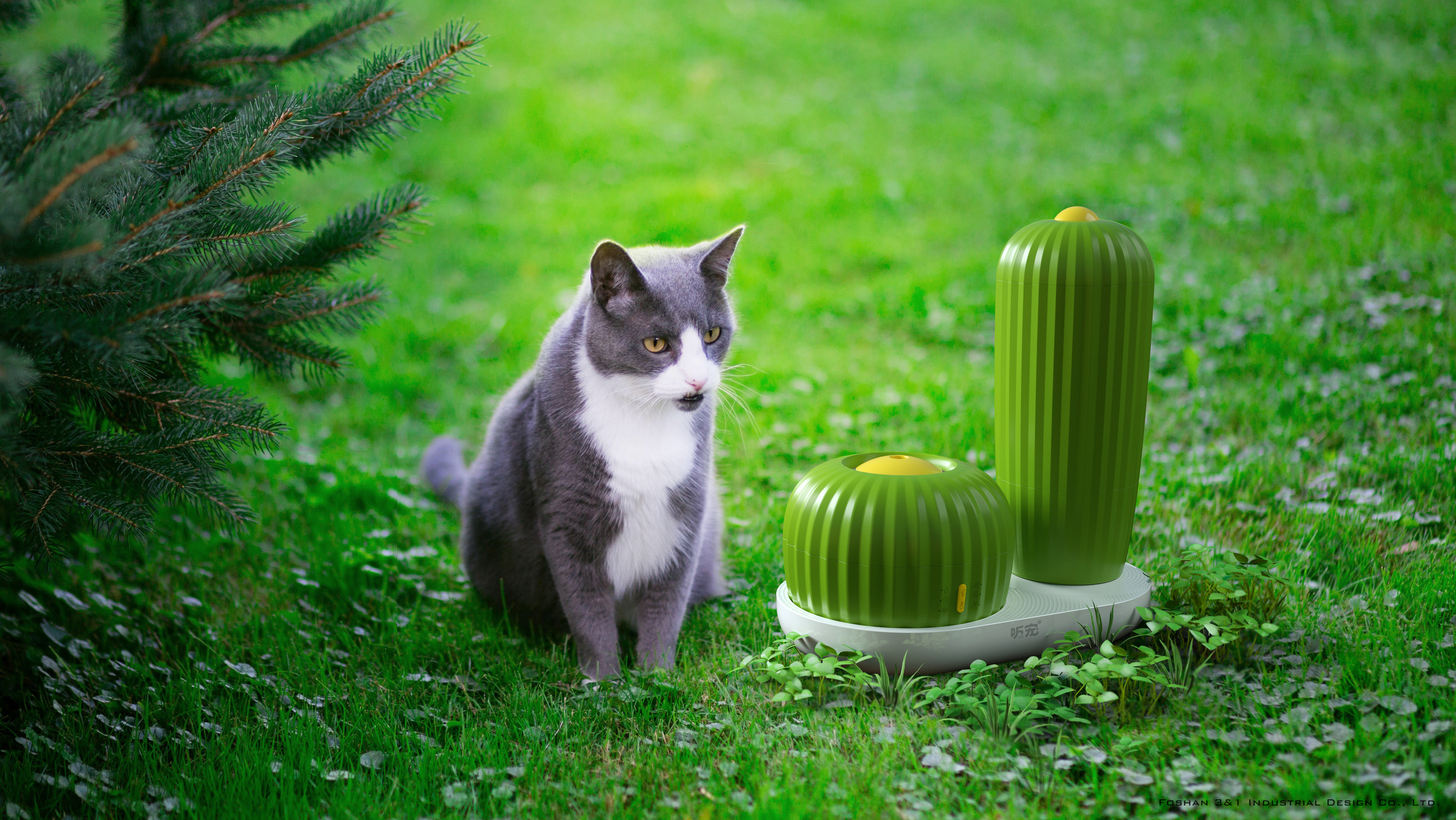 Pet appliances，Pet water dispenser，cat owner，bionics，