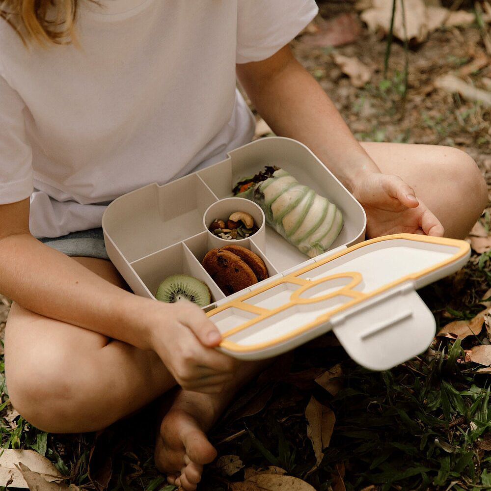 Lunch box，partition，biodegradable，