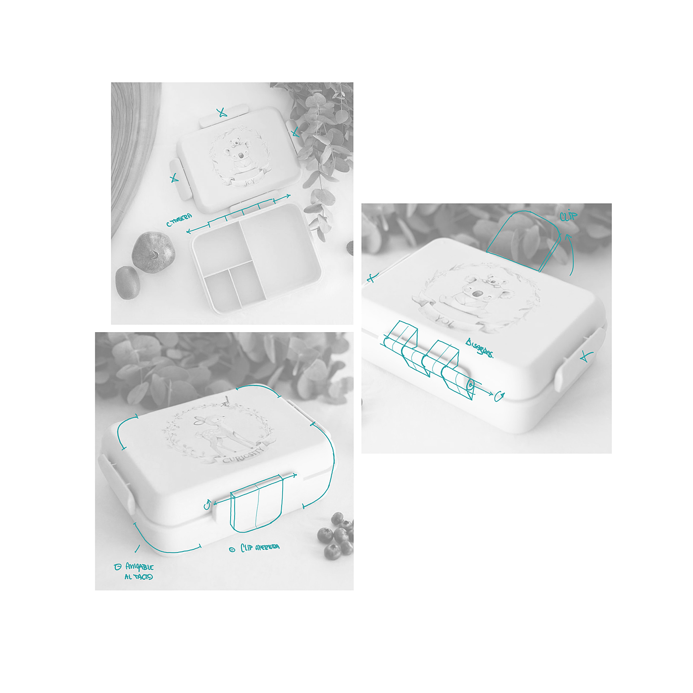 Lunch box，partition，biodegradable，