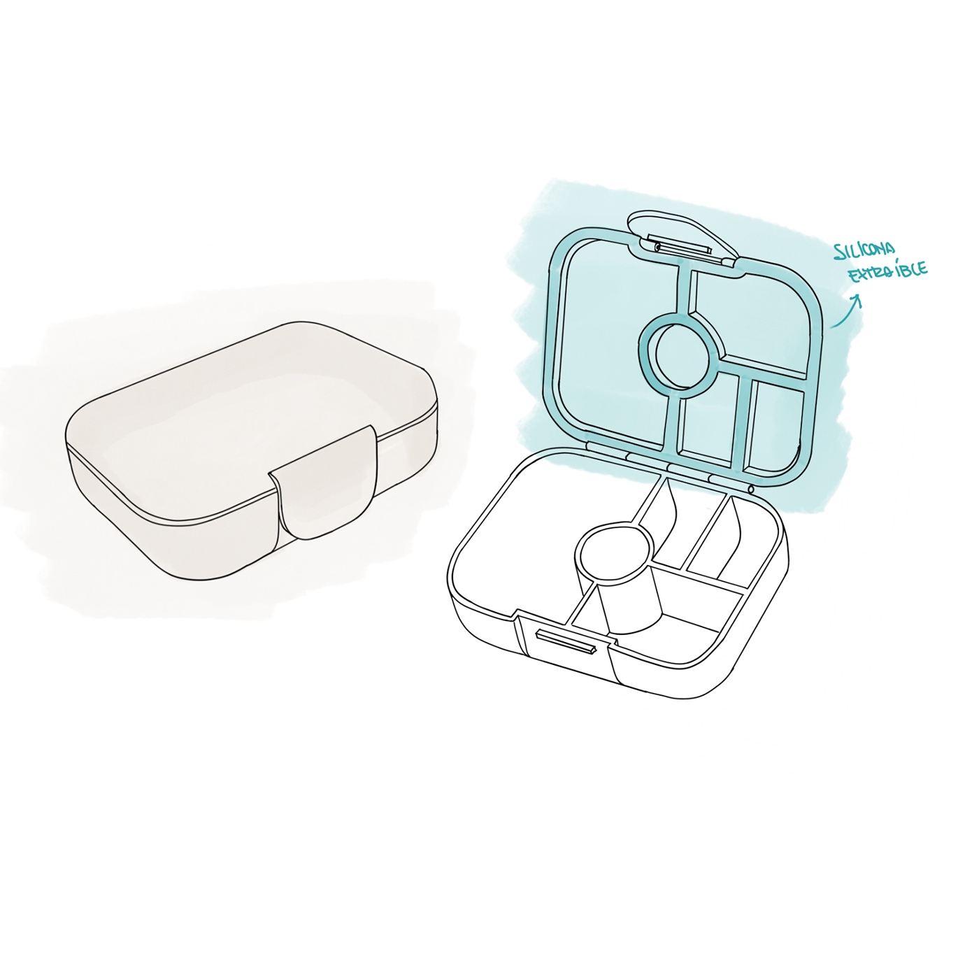 Lunch box，partition，biodegradable，