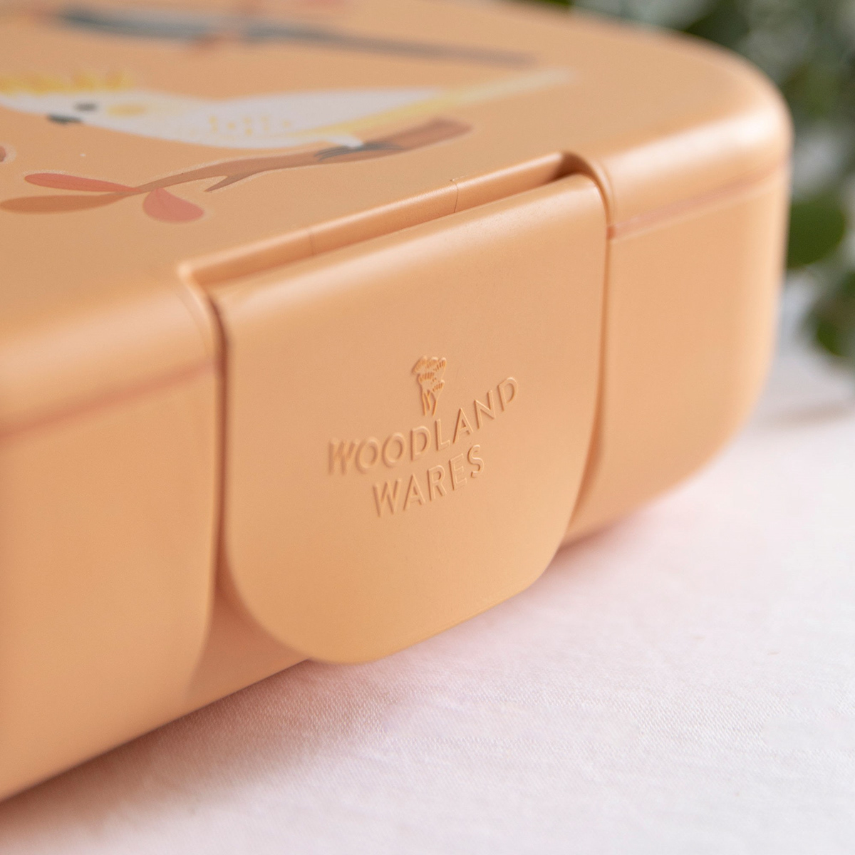 Lunch box，partition，biodegradable，