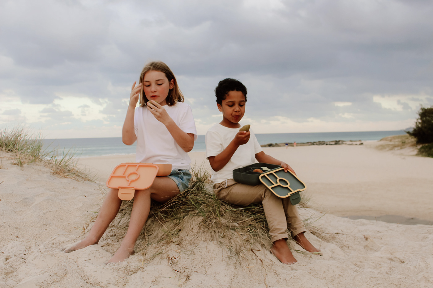Lunch box，partition，biodegradable，
