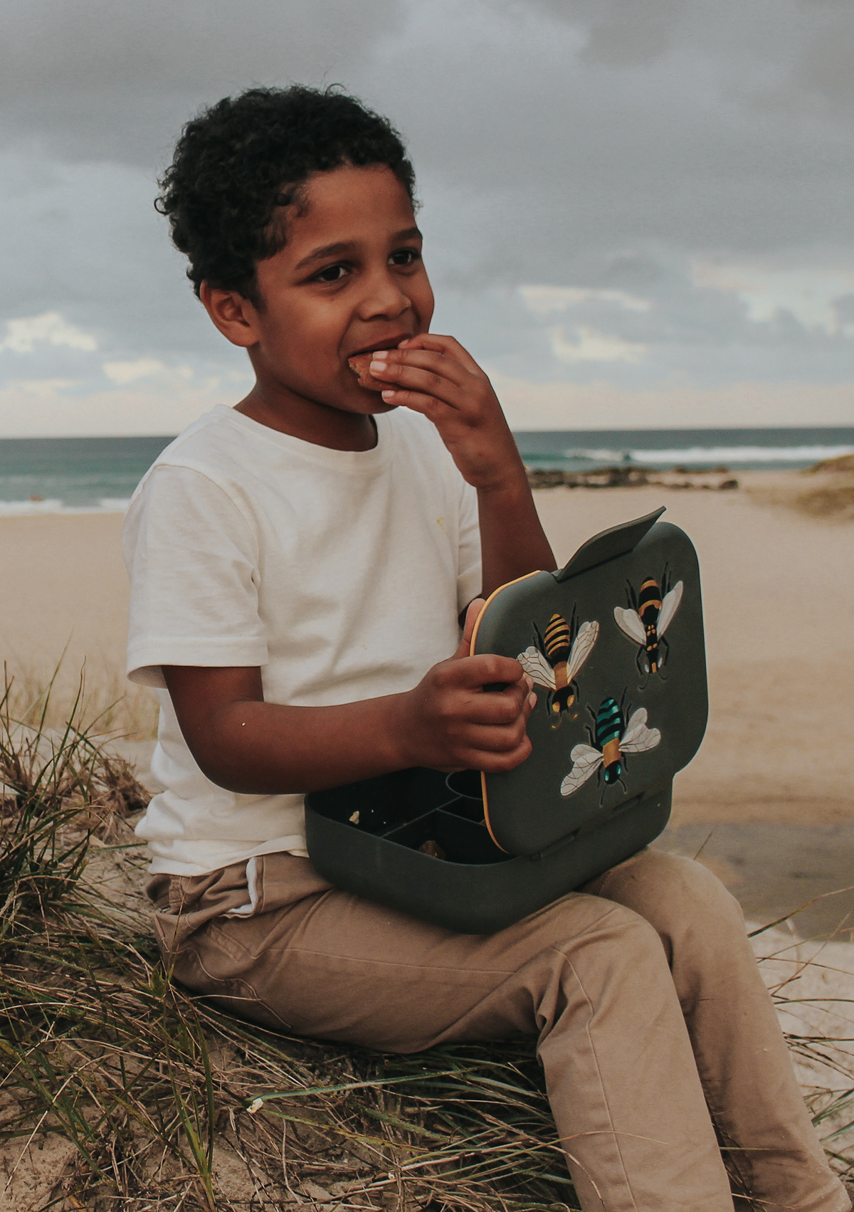 Lunch box，partition，biodegradable，