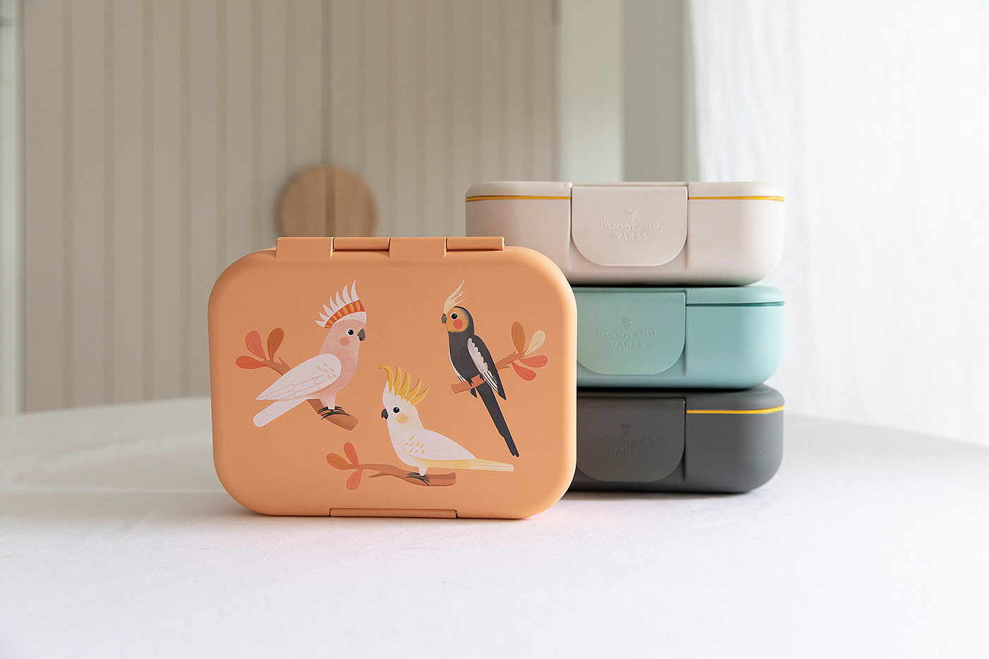 Lunch box，partition，biodegradable，
