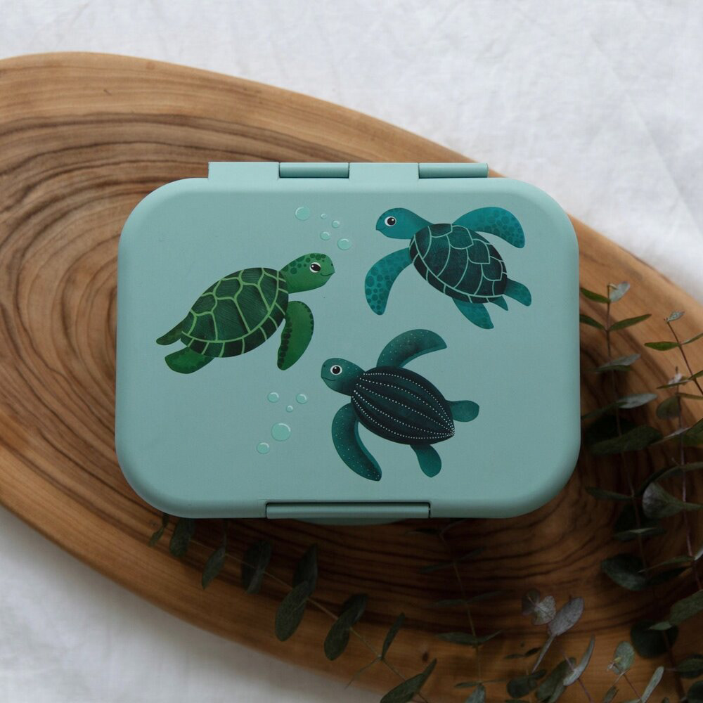 Lunch box，partition，biodegradable，