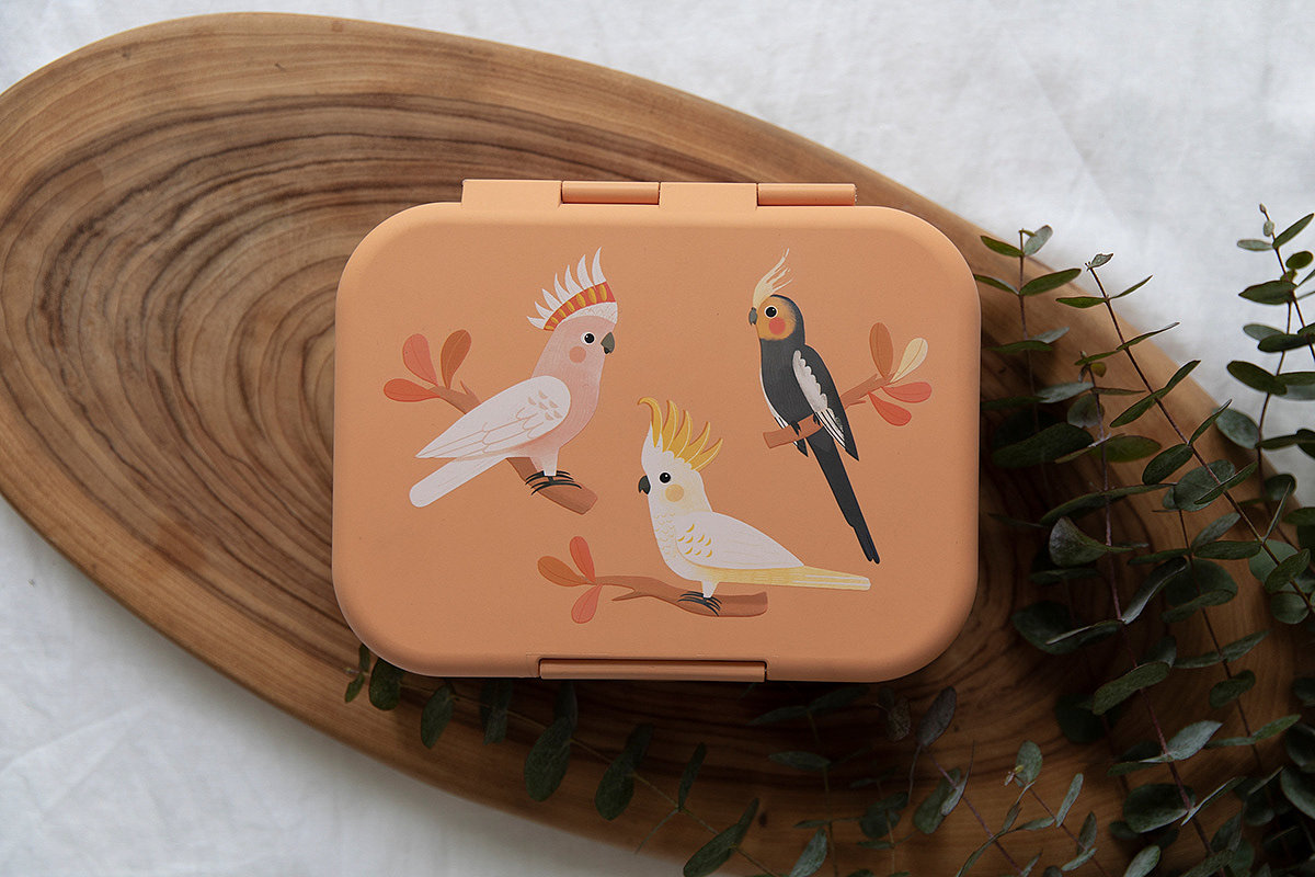 Lunch box，partition，biodegradable，