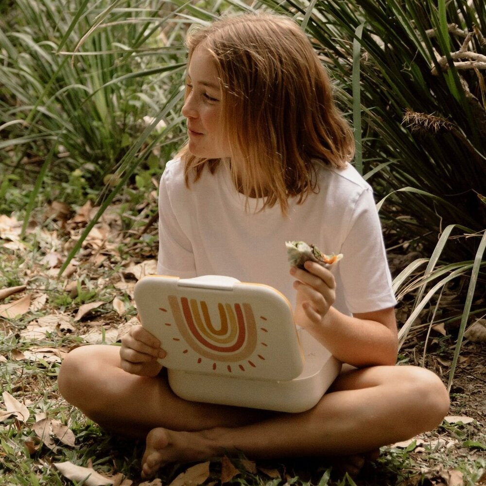 Lunch box，partition，biodegradable，