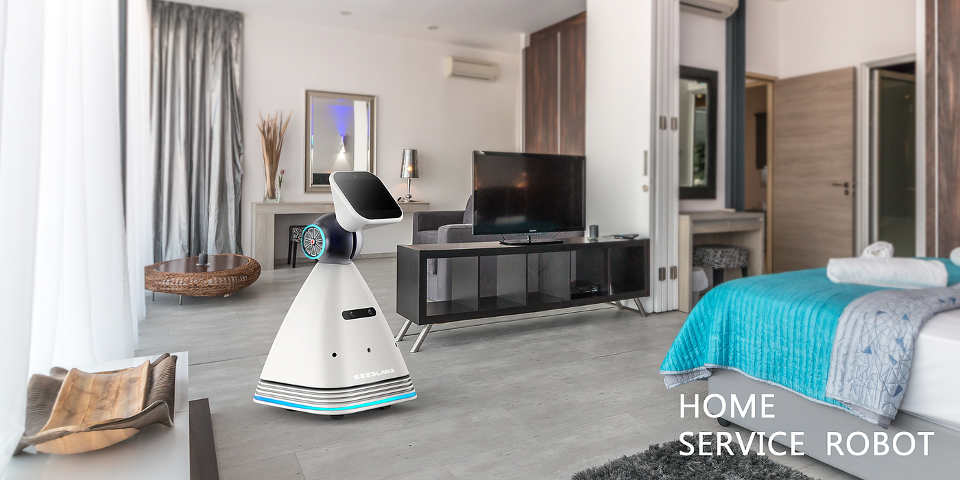 family，Service type，robot，Household robot，