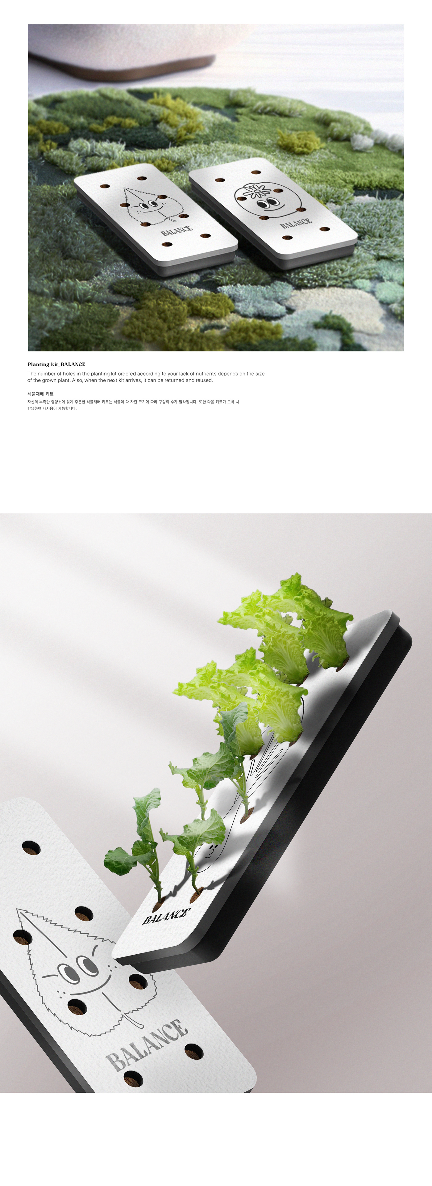 Botany，cultivate，plant，