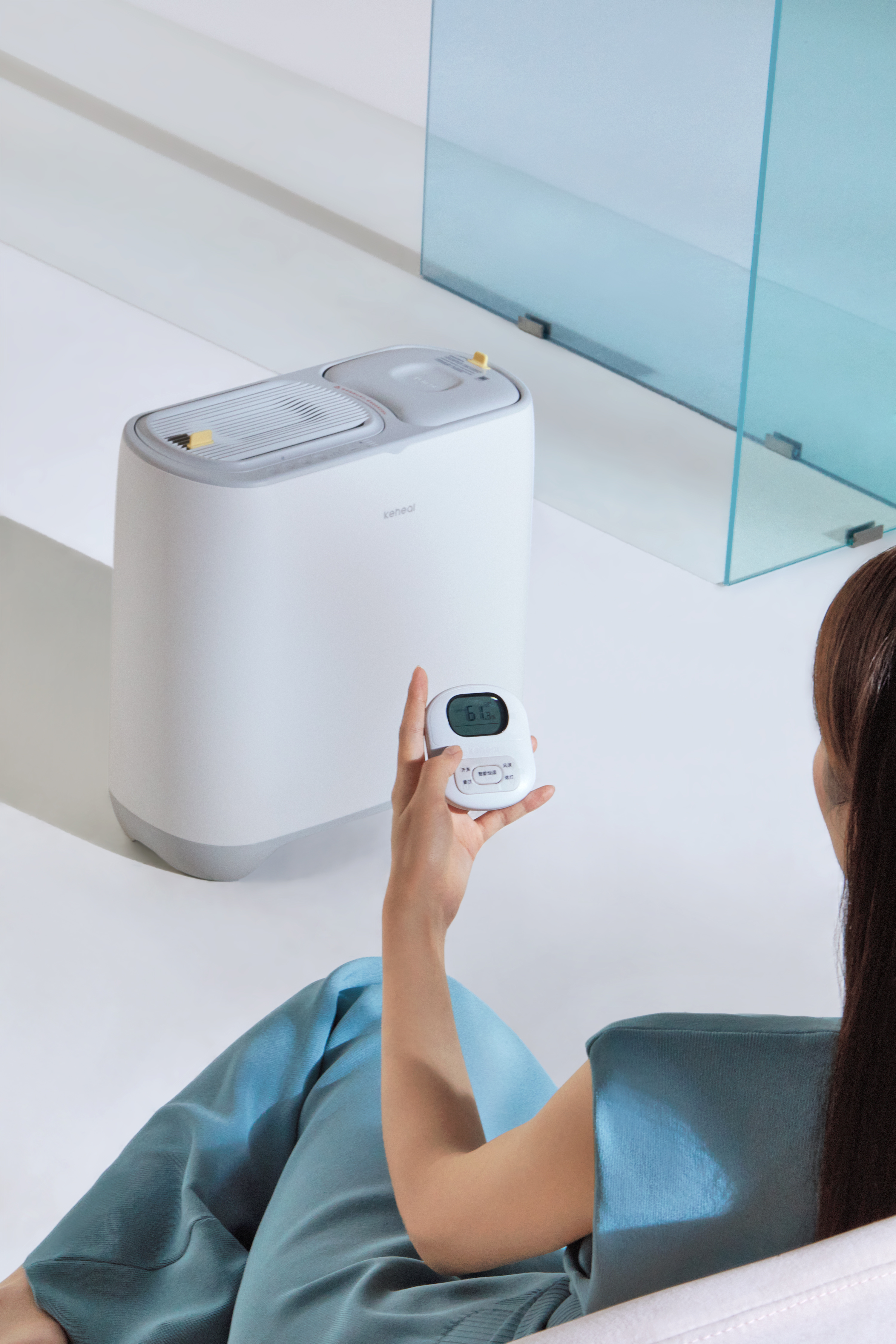 serialization，Product family，Brand semantics，Fan，Heater，Hanging ironing machine，Humidifier，design strategy ，