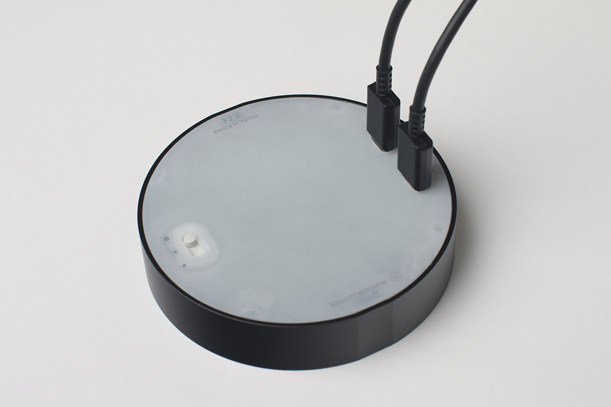 Flower basket，Implant，Bloom Engine Spot，Botany，