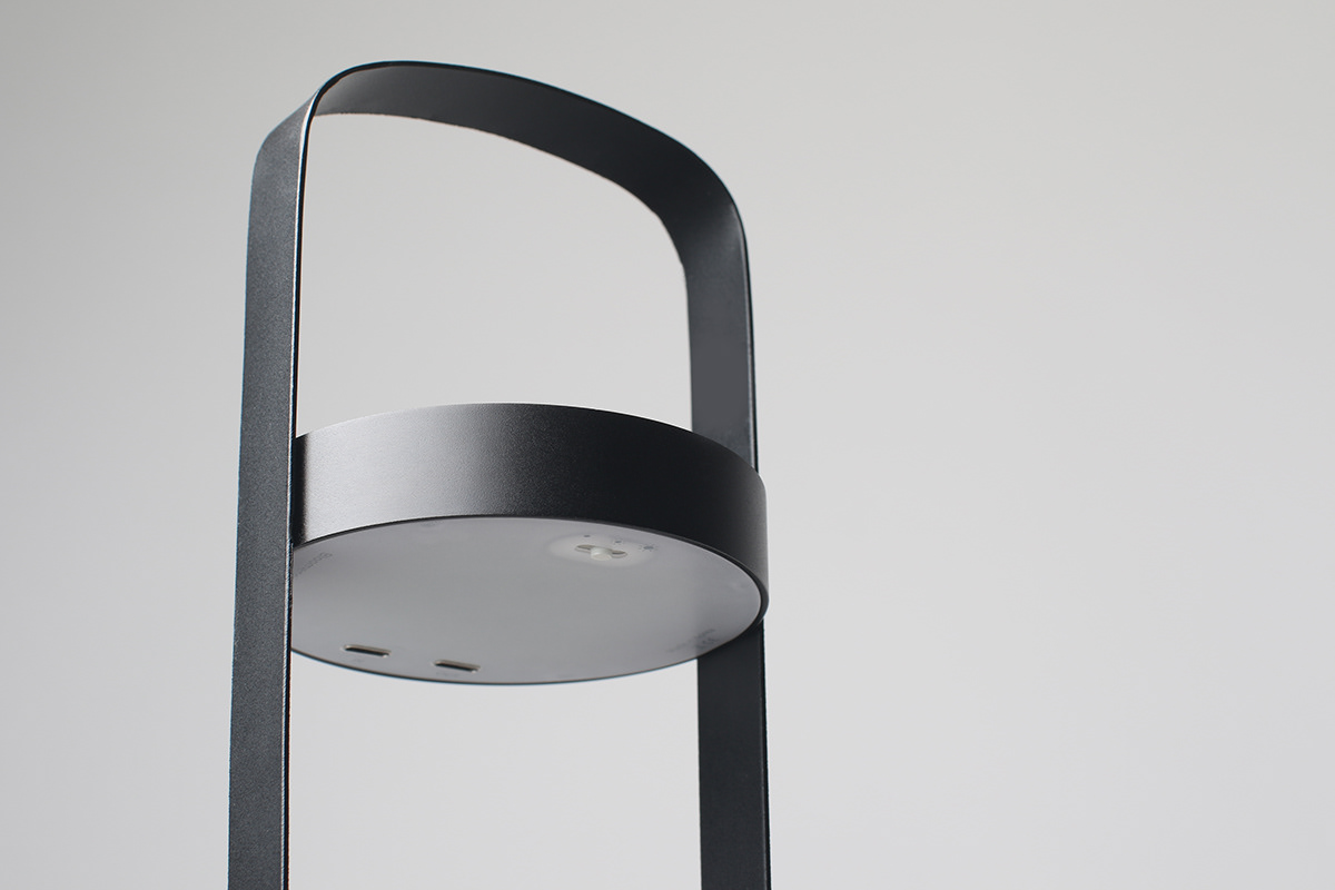 Flower basket，Implant，Bloom Engine Spot，Botany，