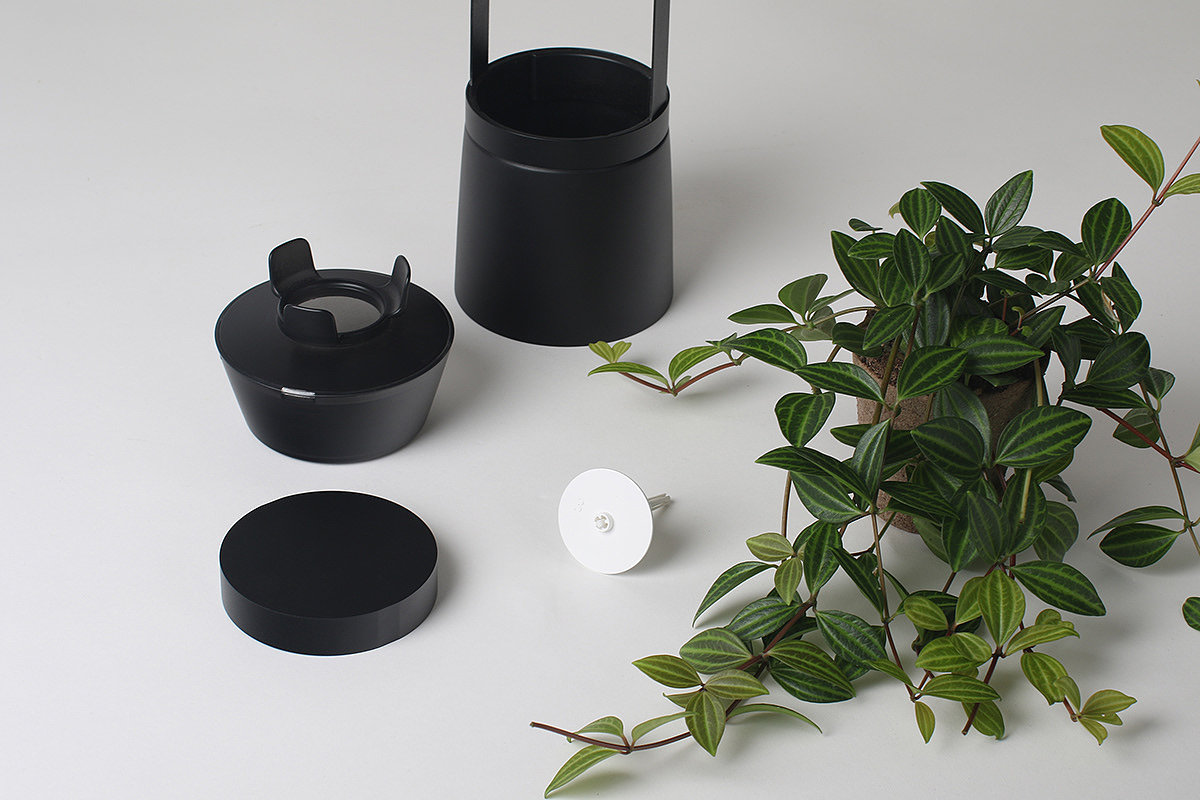 Flower basket，Implant，Bloom Engine Spot，Botany，