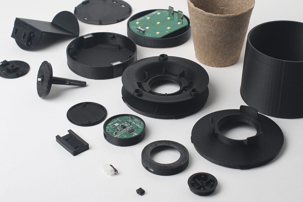 Flower basket，Implant，Bloom Engine Spot，Botany，