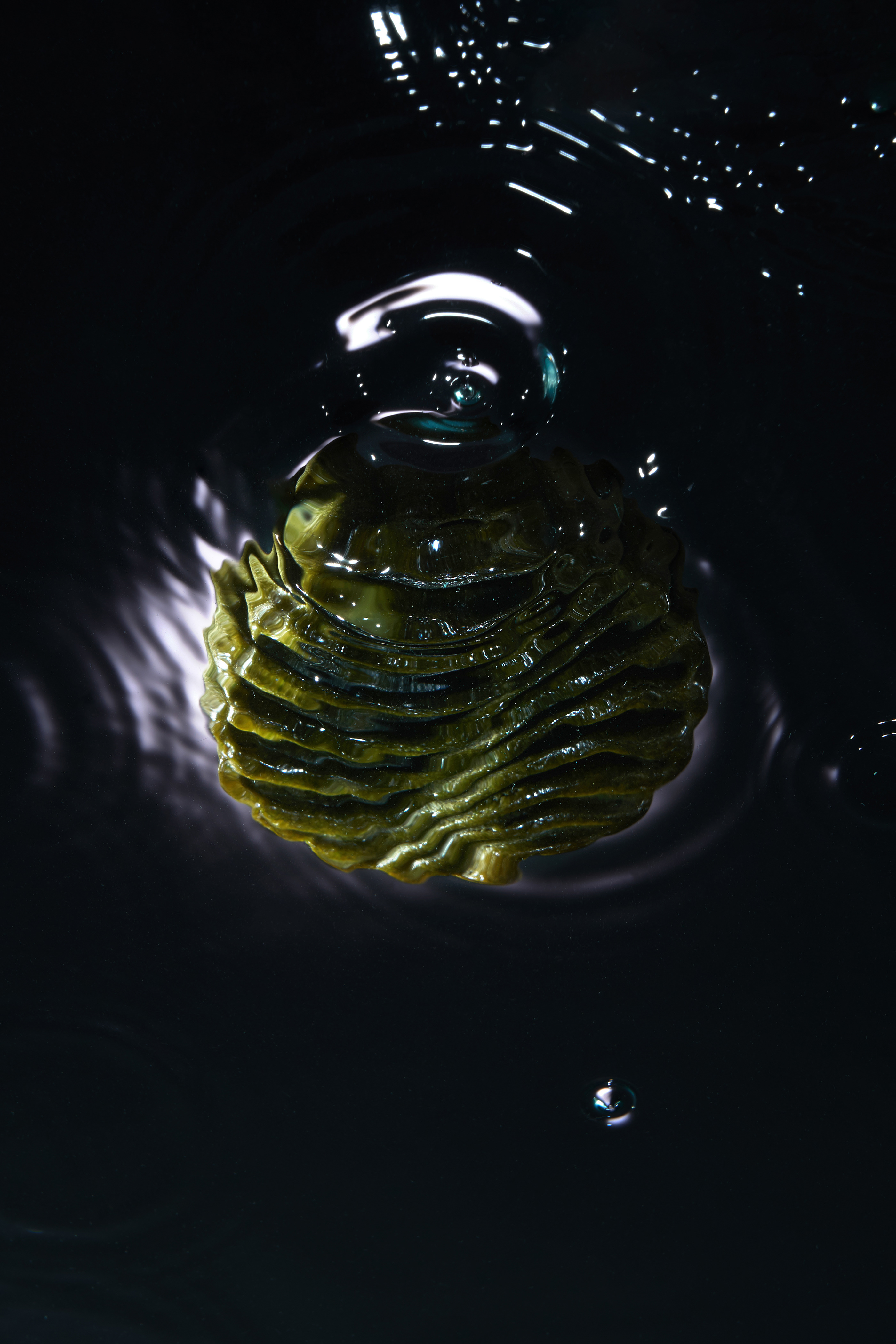 packing design，Cultural products，Moon Cake，