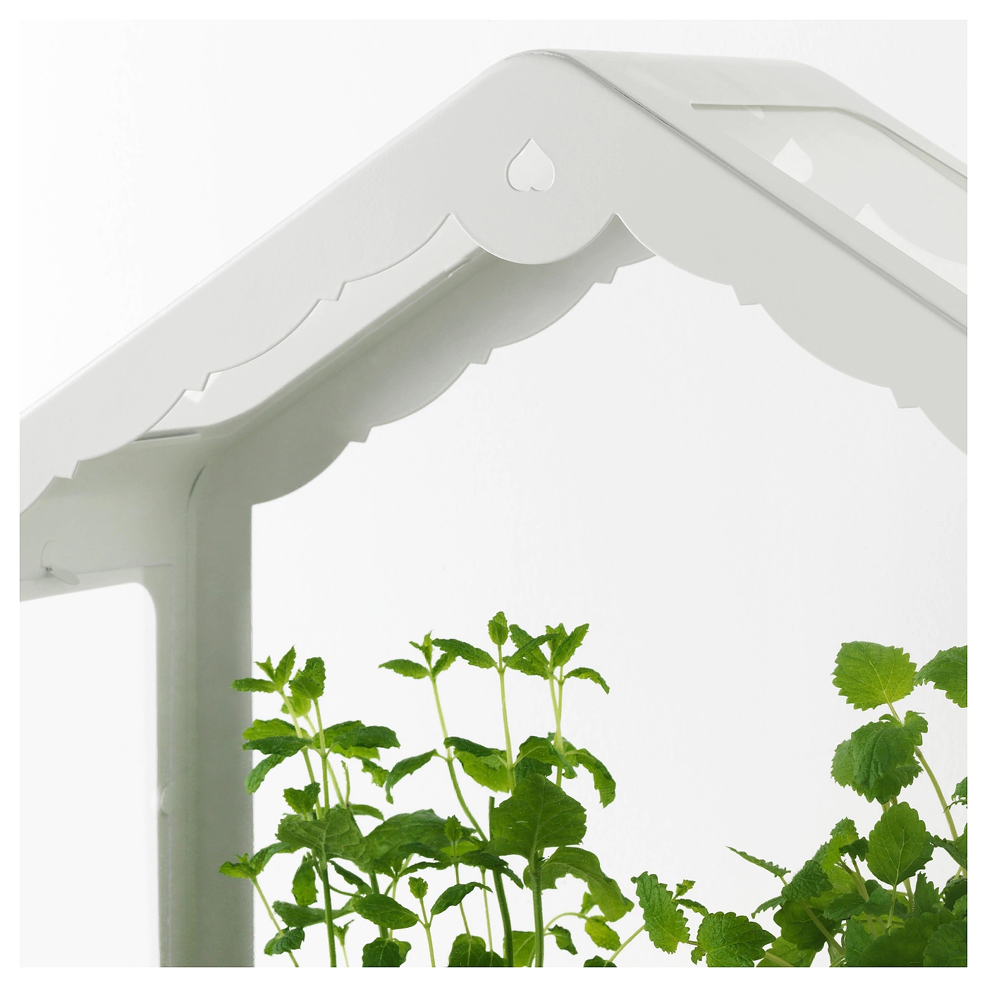 202.575.94，IKEA，IKEA，Greenhouse cover，