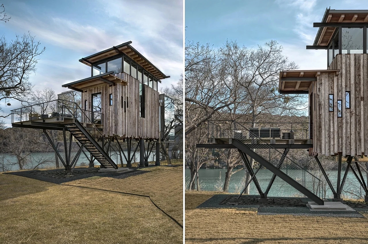 Tree House，Architectural design，Children's paintings，