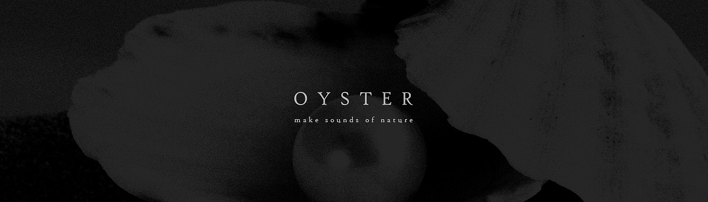 Oyster，牡蛎，音乐，乐器，黑色，钢琴，人与自然，