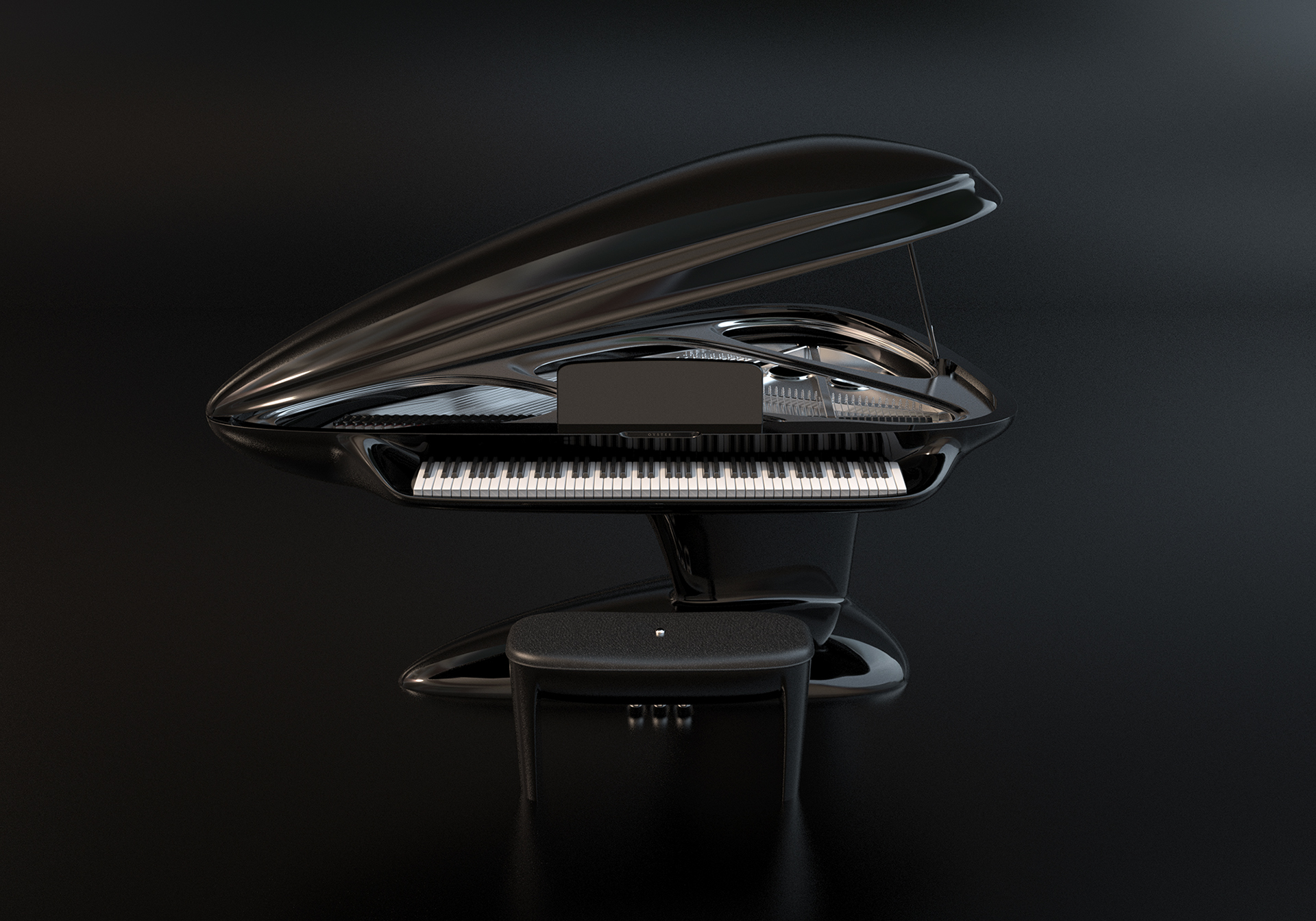 oyster,牡蛎,音乐,乐器,黑色,钢琴,人与自然